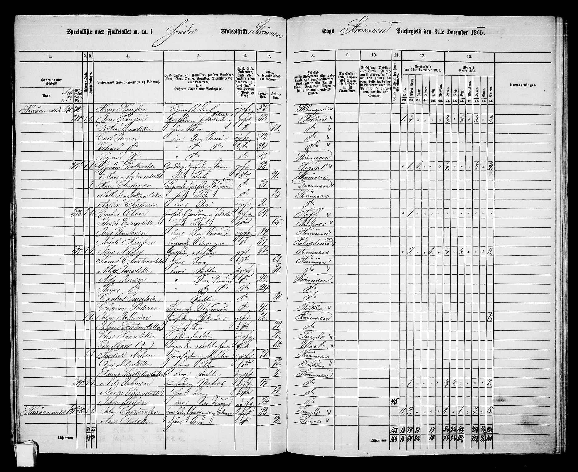 RA, 1865 census for Strømm, 1865, p. 9