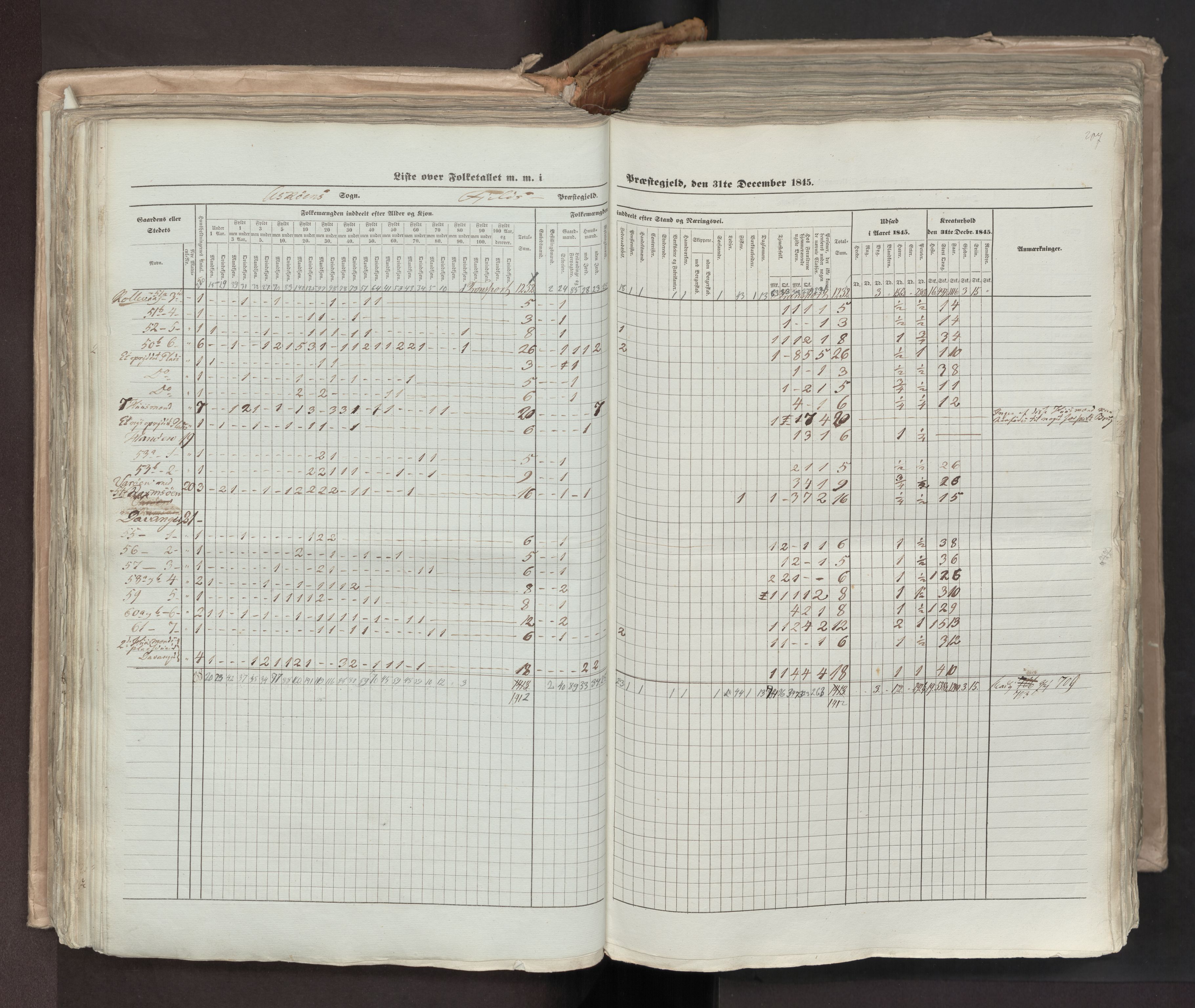 RA, Census 1845, vol. 7: Søndre Bergenhus amt og Nordre Bergenhus amt, 1845, p. 207