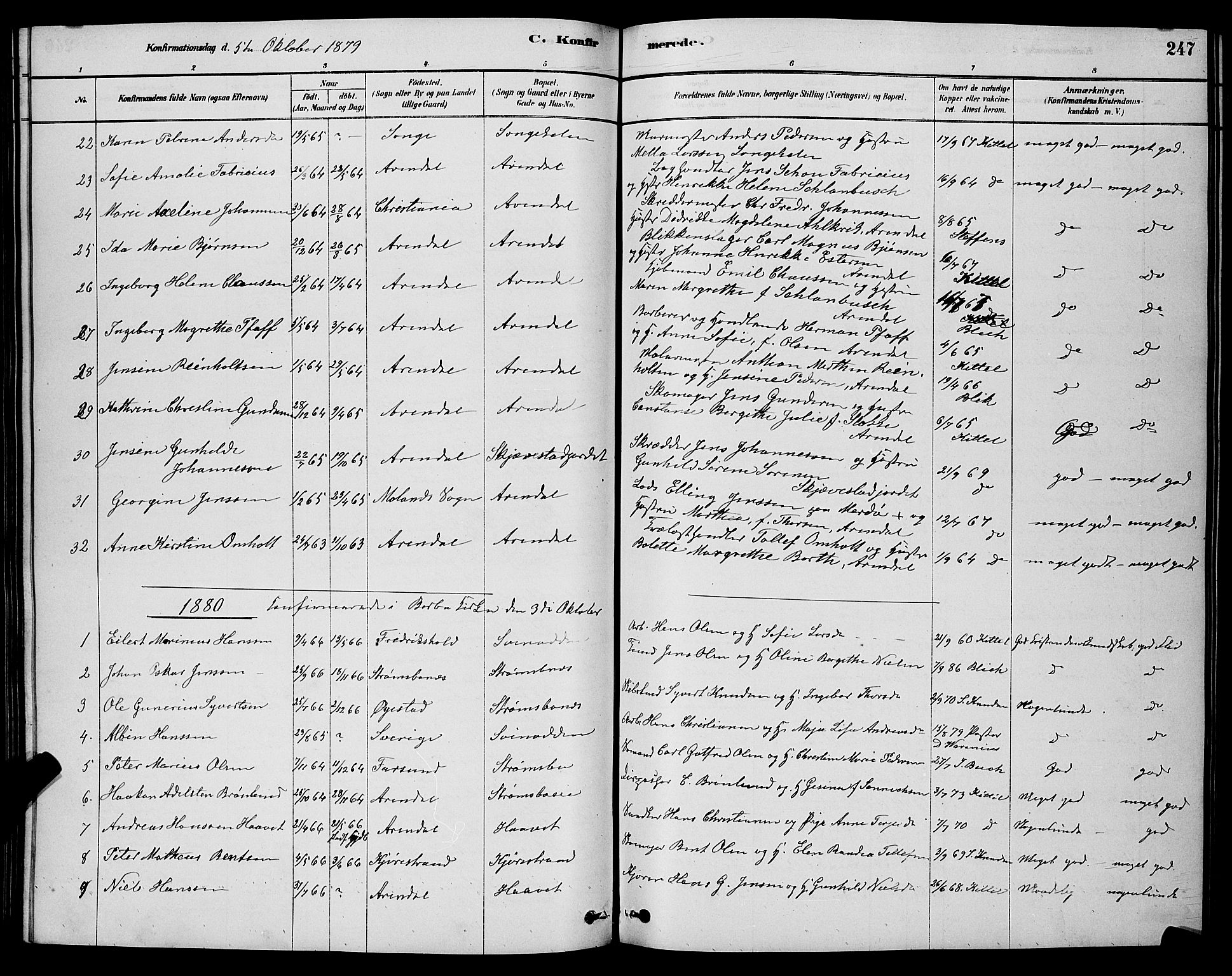 Barbu sokneprestkontor, AV/SAK-1111-0003/F/Fb/L0001: Parish register (copy) no. B 1, 1878-1890, p. 247