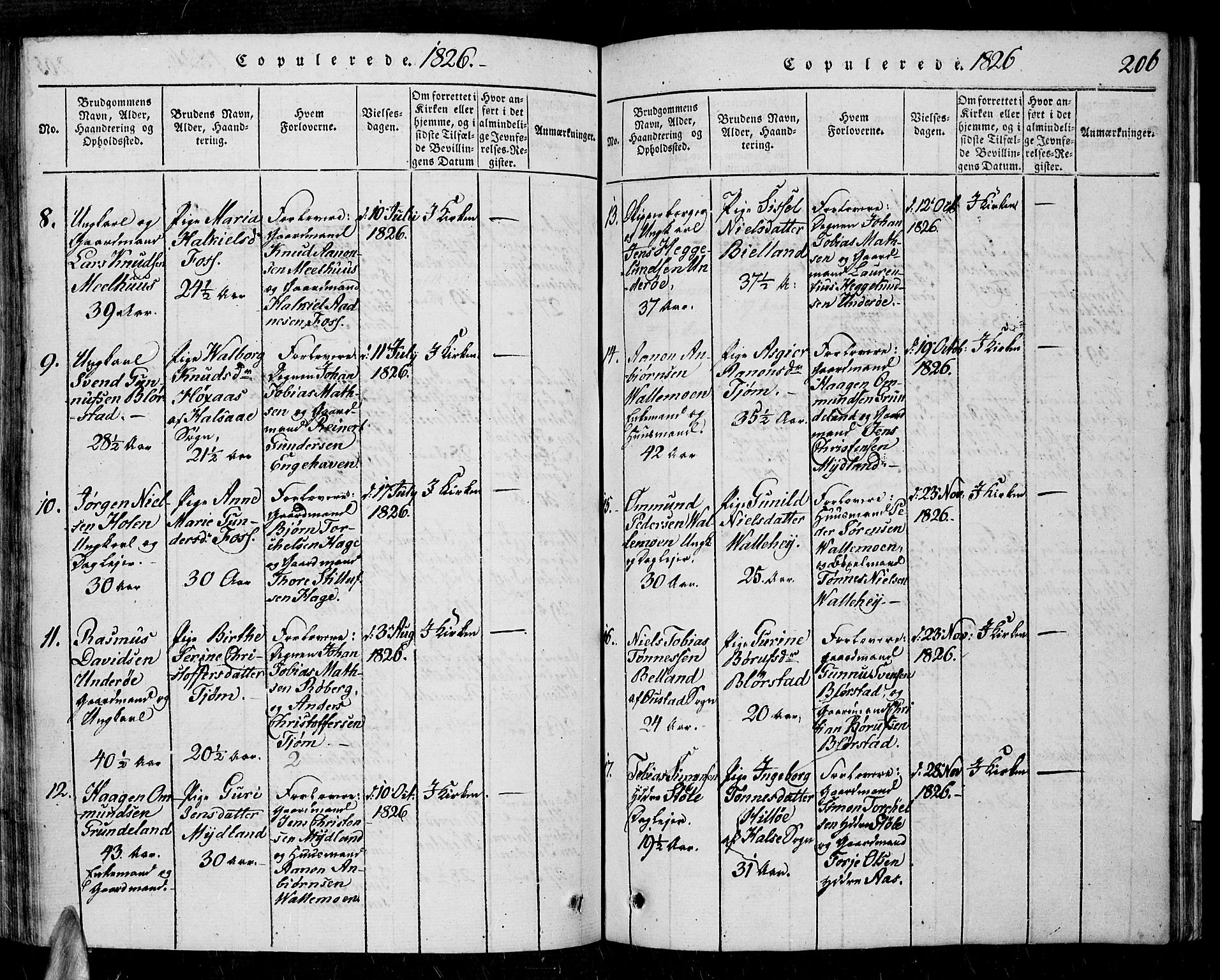 Sør-Audnedal sokneprestkontor, AV/SAK-1111-0039/F/Fa/Fab/L0005: Parish register (official) no. A 5, 1816-1830, p. 206