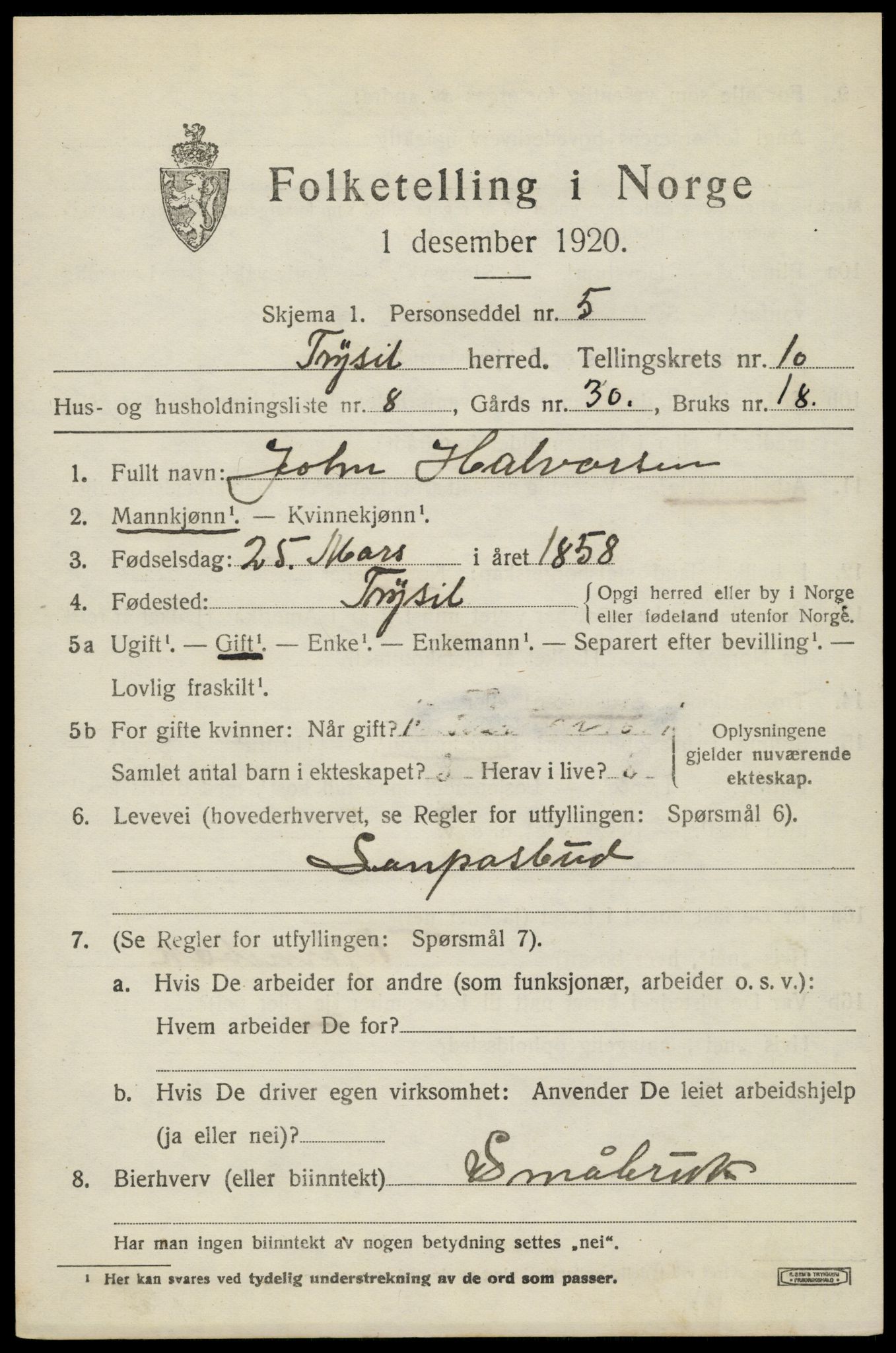 SAH, 1920 census for Trysil, 1920, p. 6951