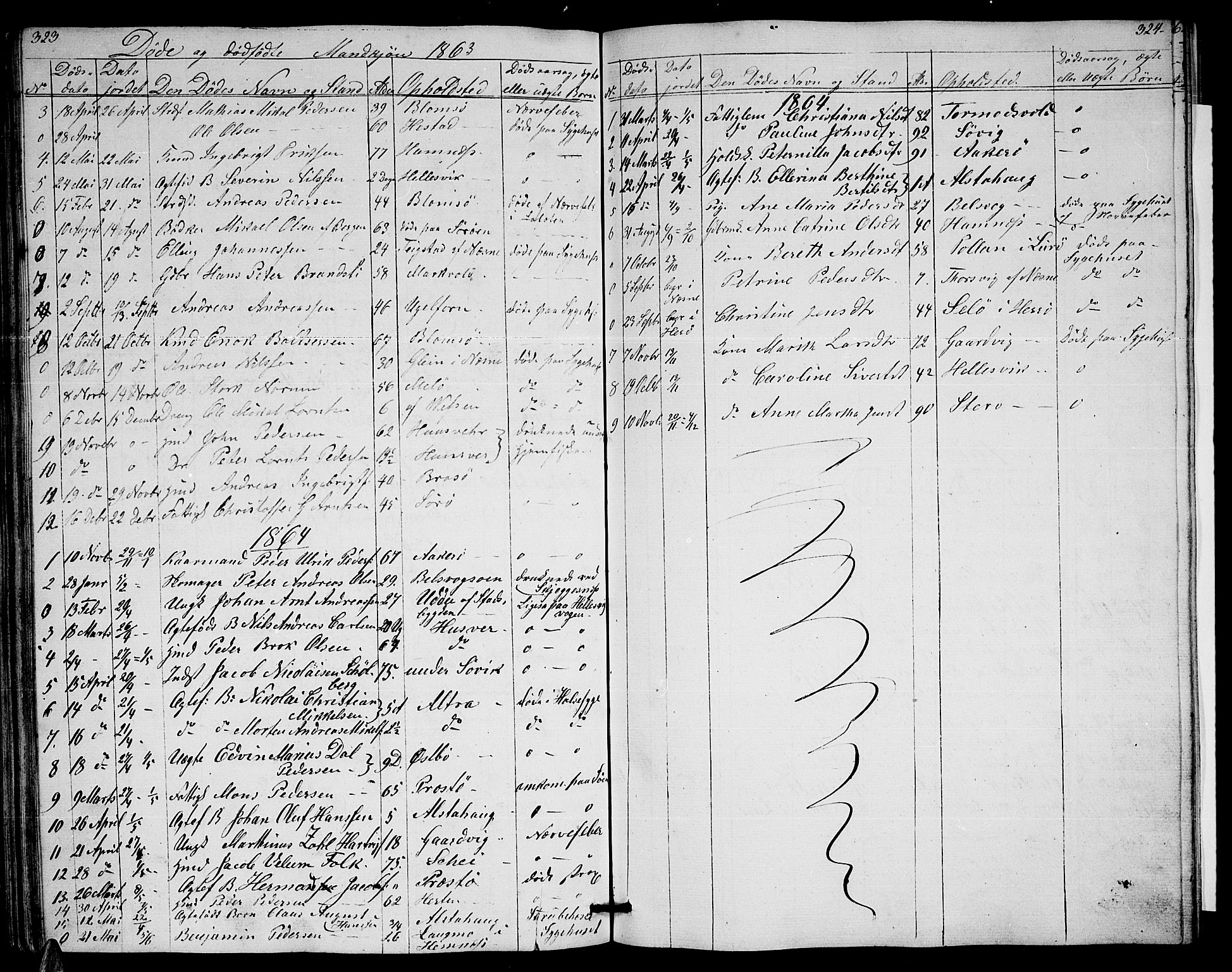 Ministerialprotokoller, klokkerbøker og fødselsregistre - Nordland, AV/SAT-A-1459/830/L0460: Parish register (copy) no. 830C02, 1843-1865, p. 323-324