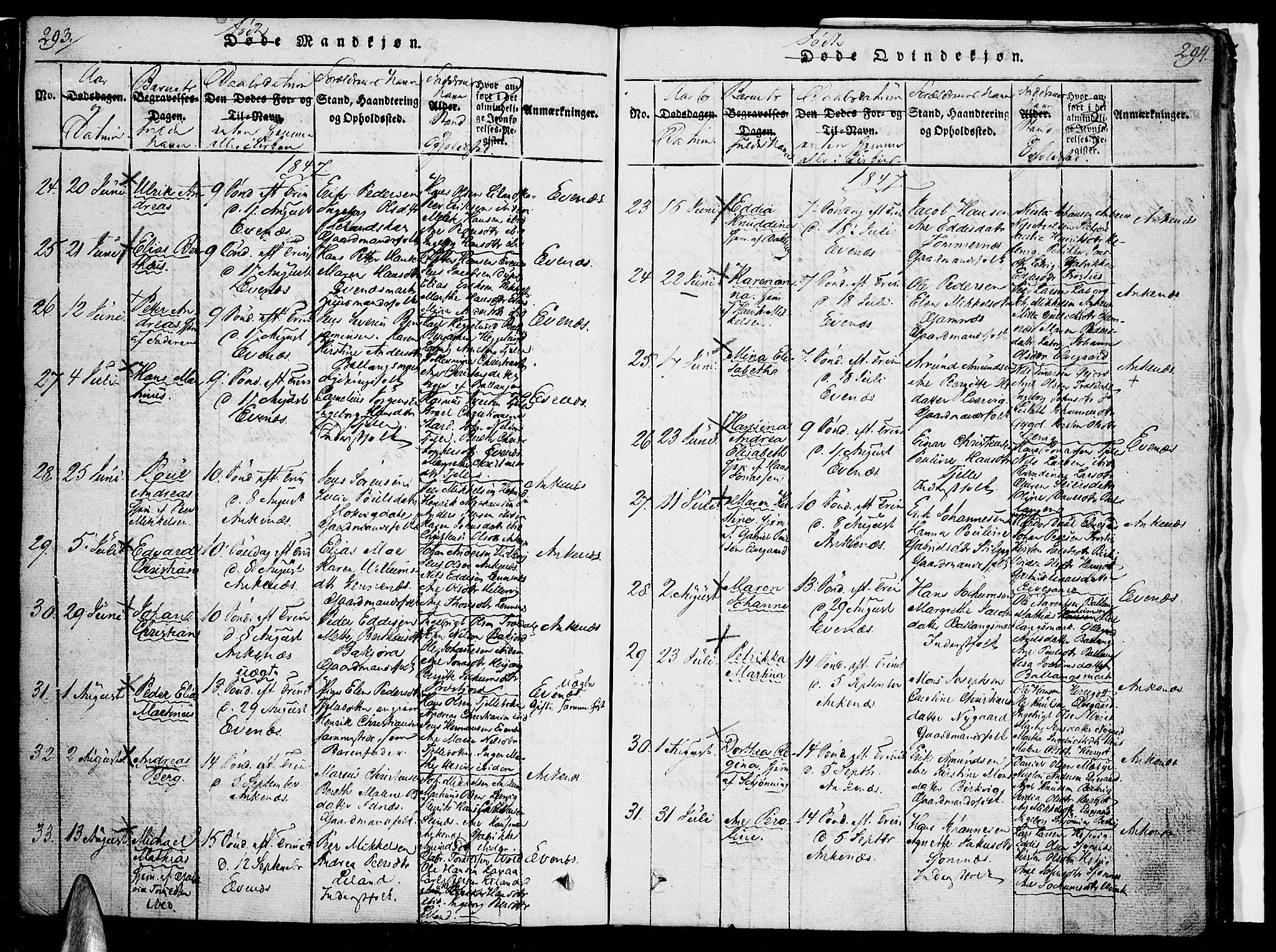 Ministerialprotokoller, klokkerbøker og fødselsregistre - Nordland, AV/SAT-A-1459/863/L0894: Parish register (official) no. 863A06, 1821-1851, p. 293-294