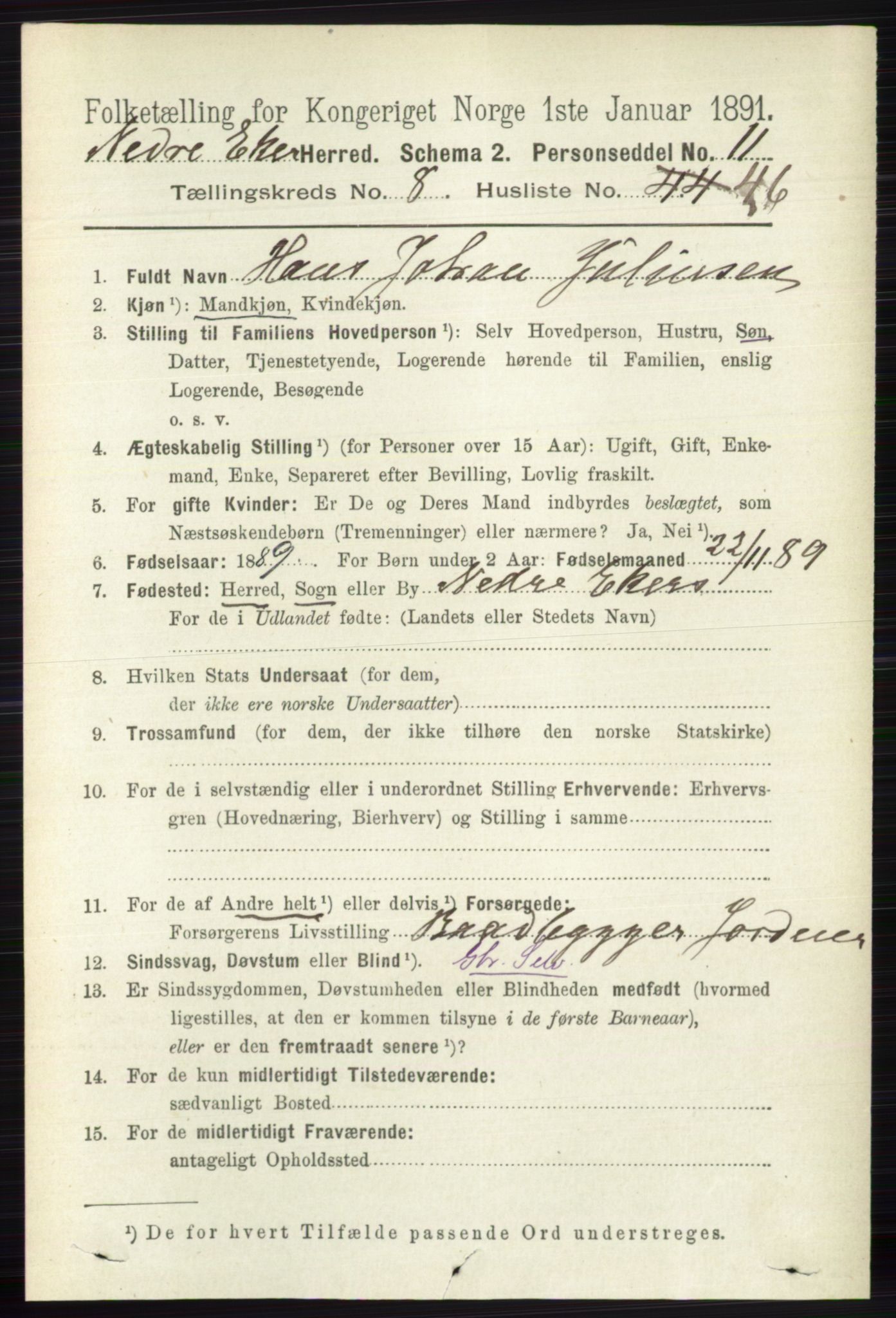 RA, 1891 census for 0625 Nedre Eiker, 1891, p. 4247
