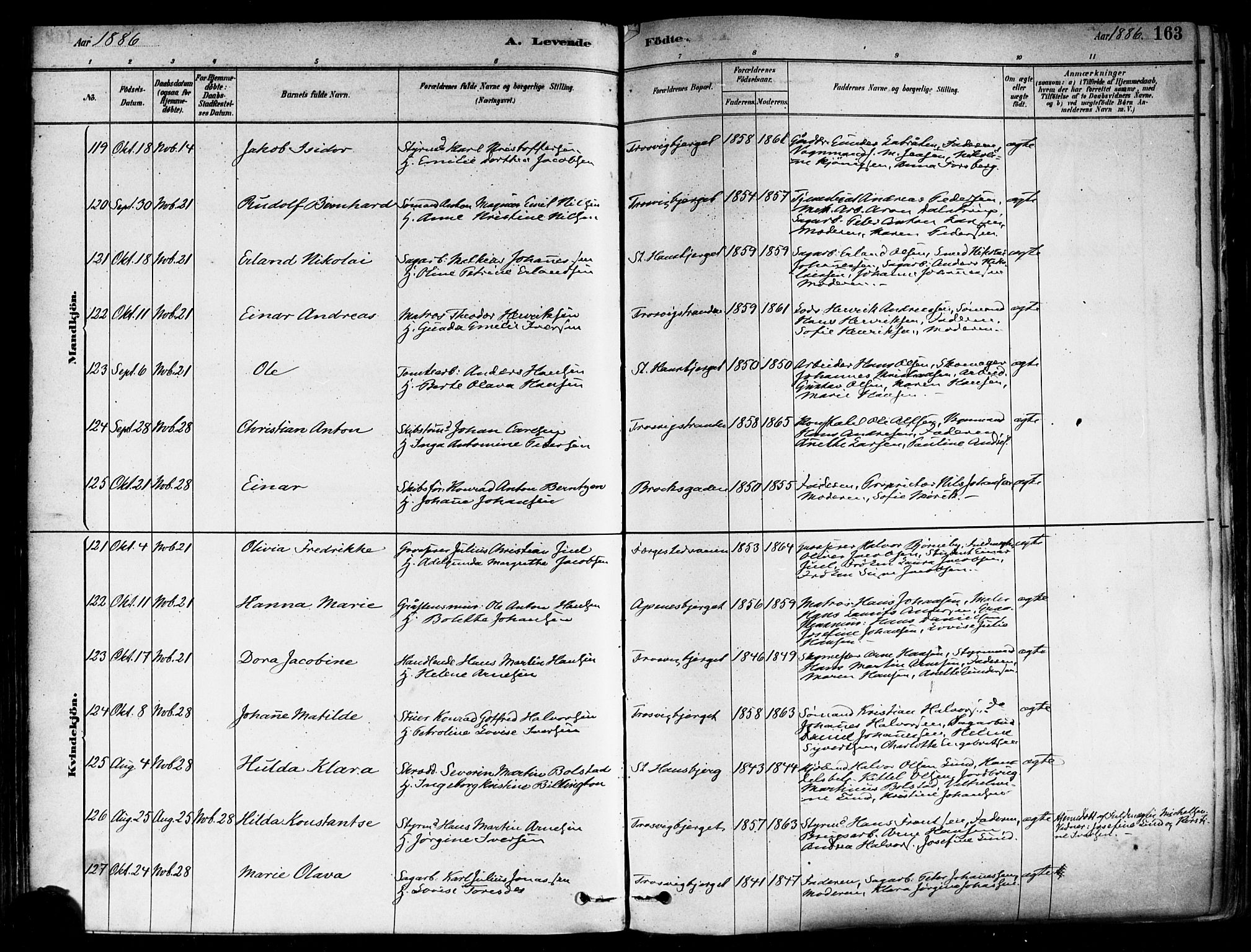 Fredrikstad domkirkes prestekontor Kirkebøker, AV/SAO-A-10906/F/Fa/L0002: Parish register (official) no. 2, 1878-1894, p. 163