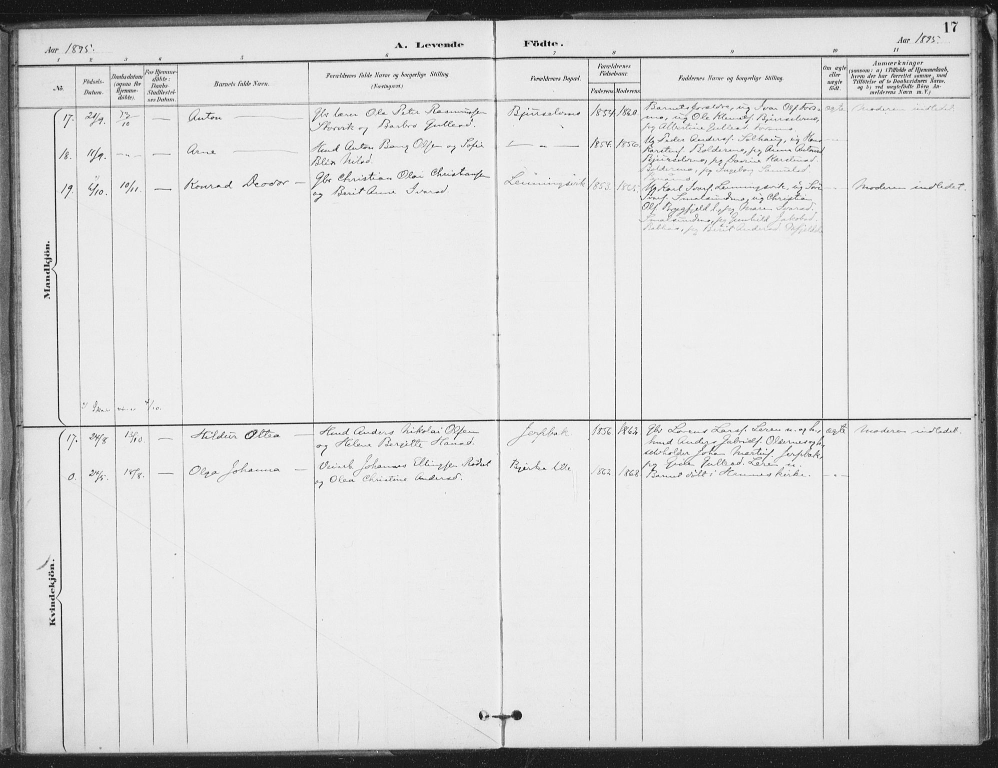 Ministerialprotokoller, klokkerbøker og fødselsregistre - Nordland, SAT/A-1459/826/L0380: Parish register (official) no. 826A03, 1891-1911, p. 17