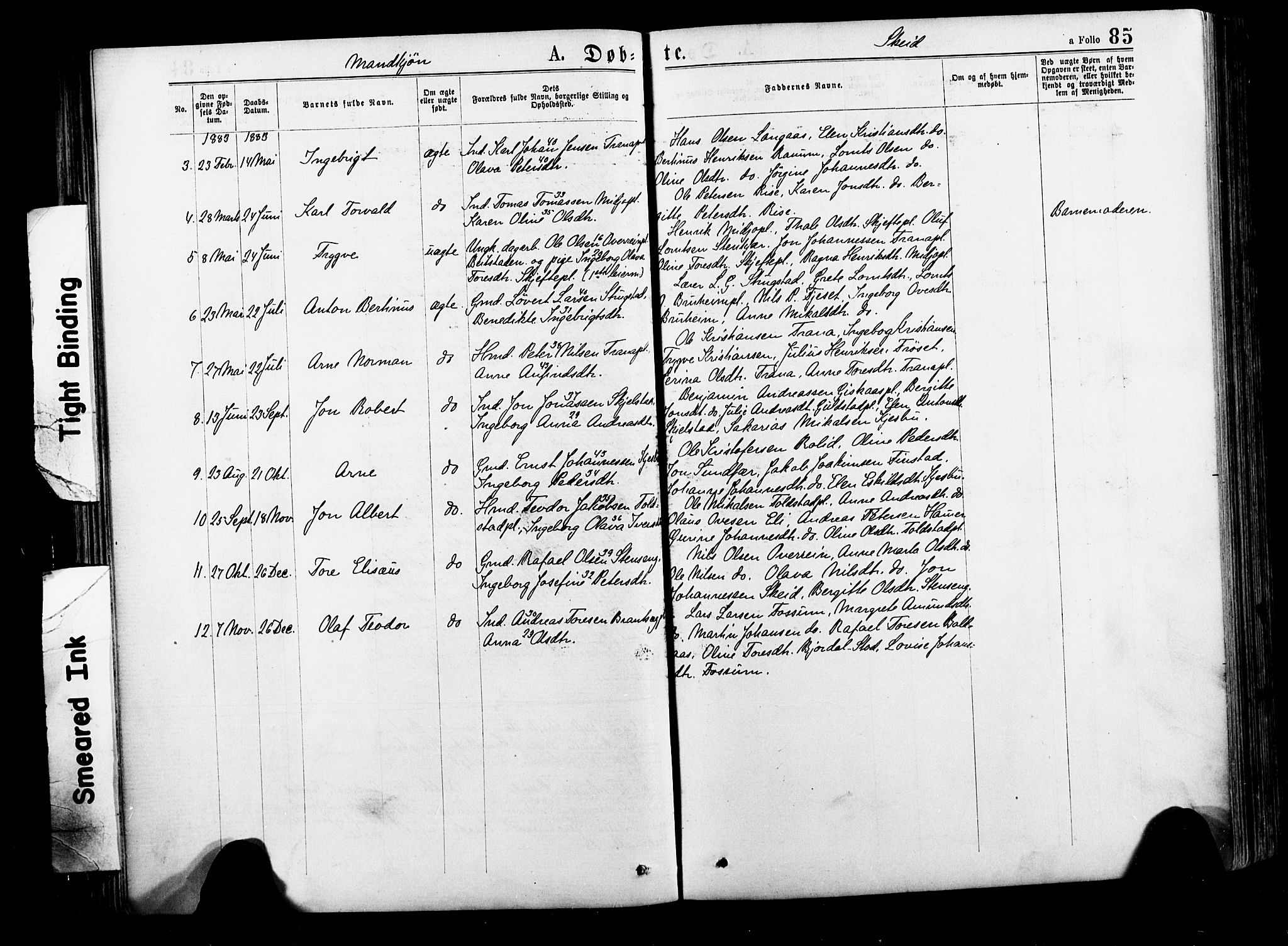 Ministerialprotokoller, klokkerbøker og fødselsregistre - Nord-Trøndelag, SAT/A-1458/735/L0348: Parish register (official) no. 735A09 /2, 1873-1883, p. 85