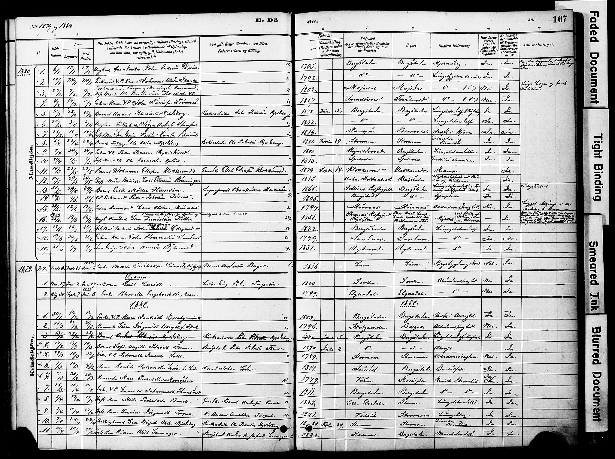 Ministerialprotokoller, klokkerbøker og fødselsregistre - Sør-Trøndelag, SAT/A-1456/681/L0933: Parish register (official) no. 681A11, 1879-1890, p. 167
