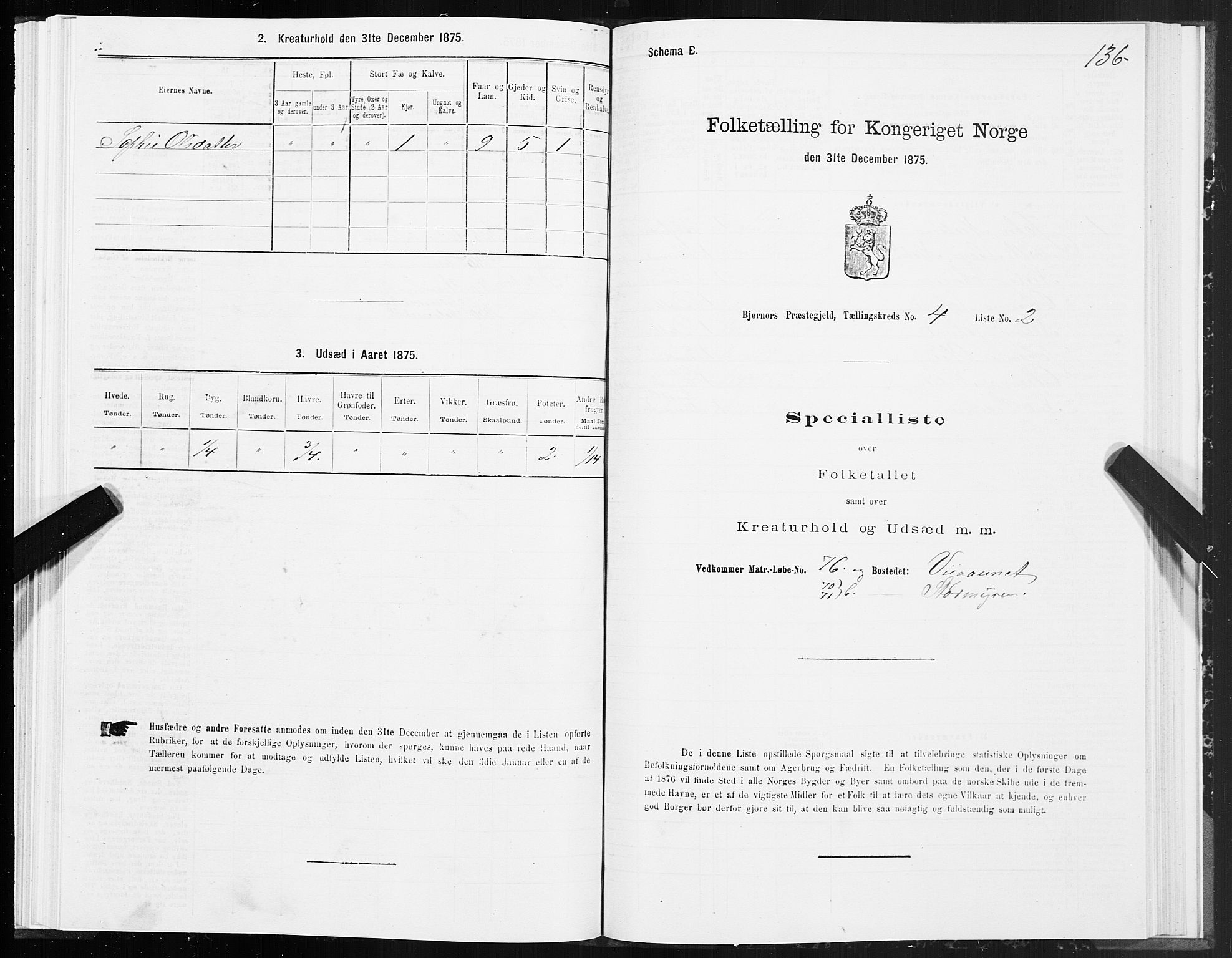 SAT, 1875 census for 1632P Bjørnør, 1875, p. 2136