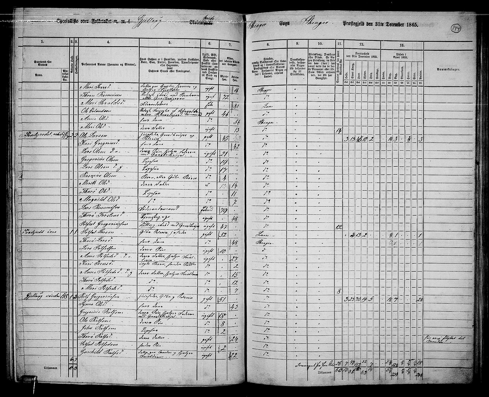 RA, 1865 census for Skjåk, 1865, p. 8