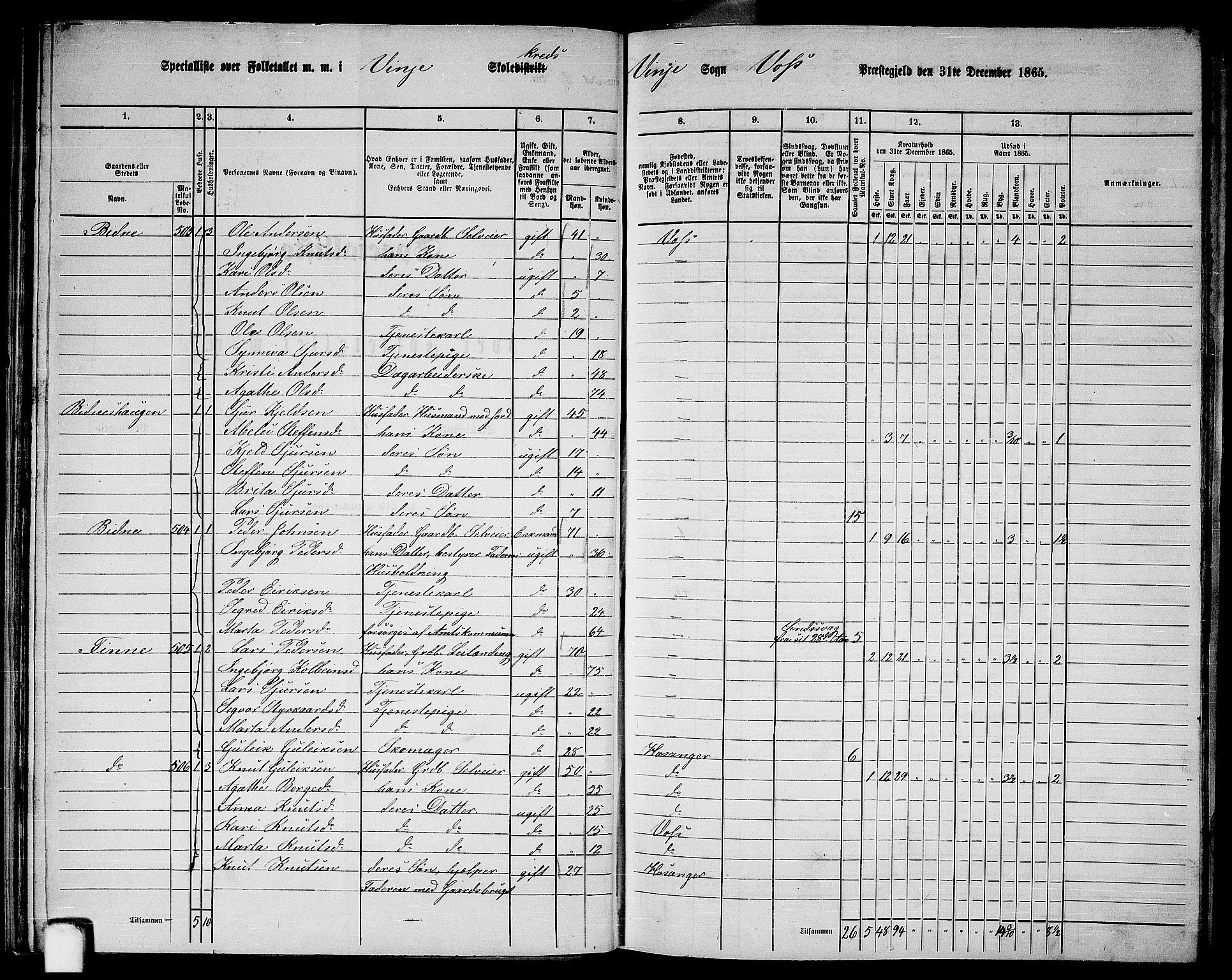 RA, 1865 census for Voss, 1865, p. 276