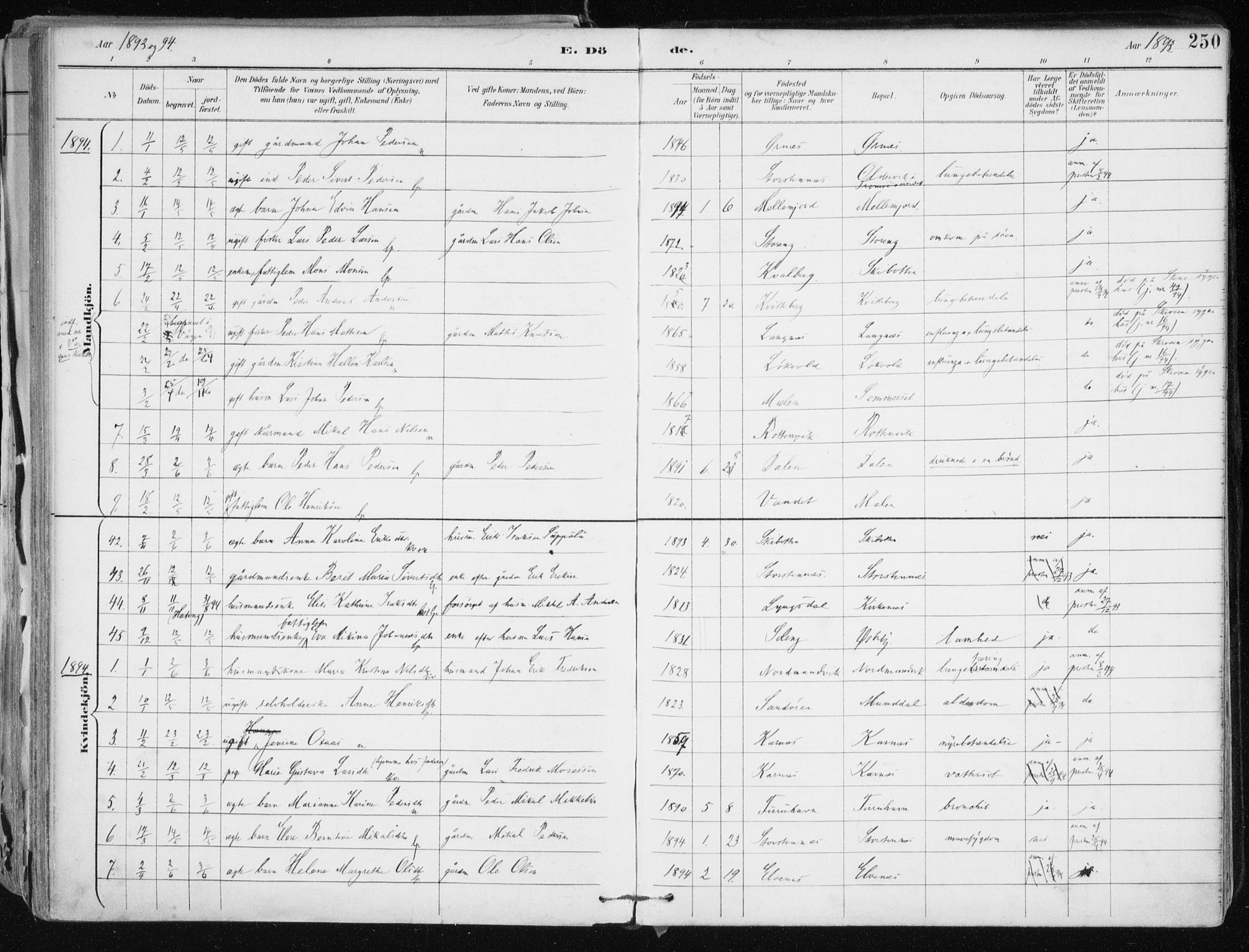 Lyngen sokneprestembete, AV/SATØ-S-1289/H/He/Hea/L0008kirke: Parish register (official) no. 8, 1891-1902, p. 250