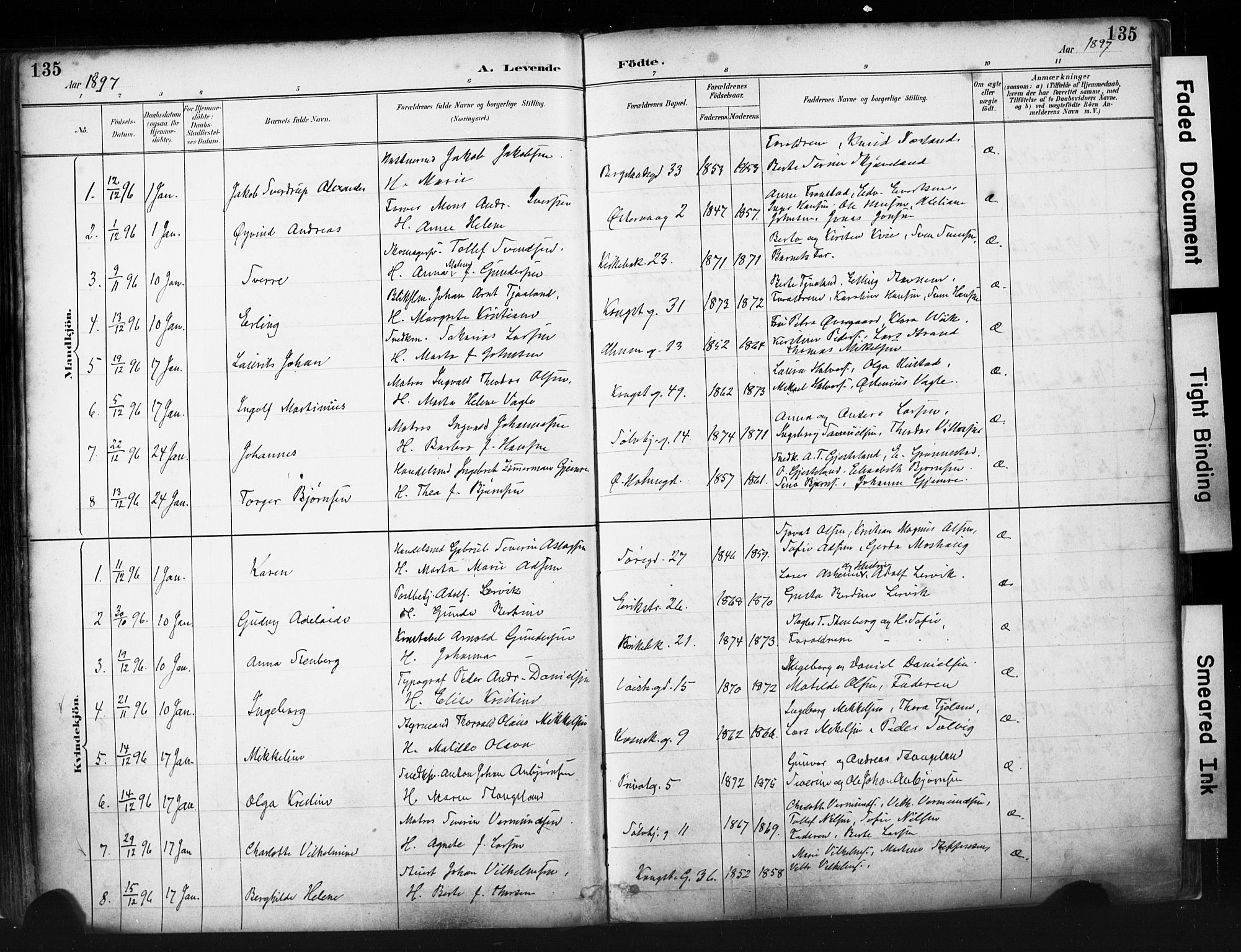 St. Petri sokneprestkontor, AV/SAST-A-101813/001/30/30BA/L0019: Parish register (official) no. A 20, 1888-1901, p. 135