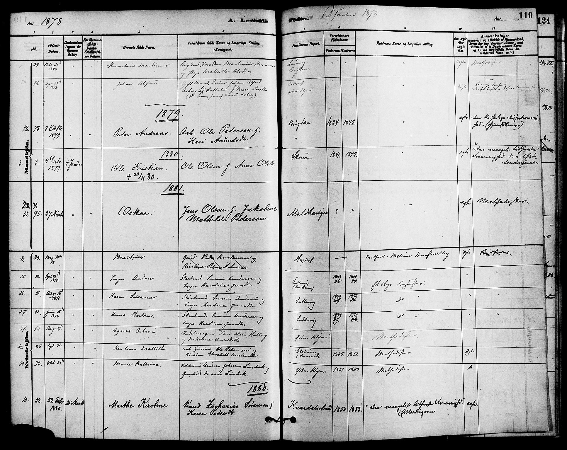 Solum kirkebøker, SAKO/A-306/F/Fa/L0009: Parish register (official) no. I 9, 1877-1887, p. 119