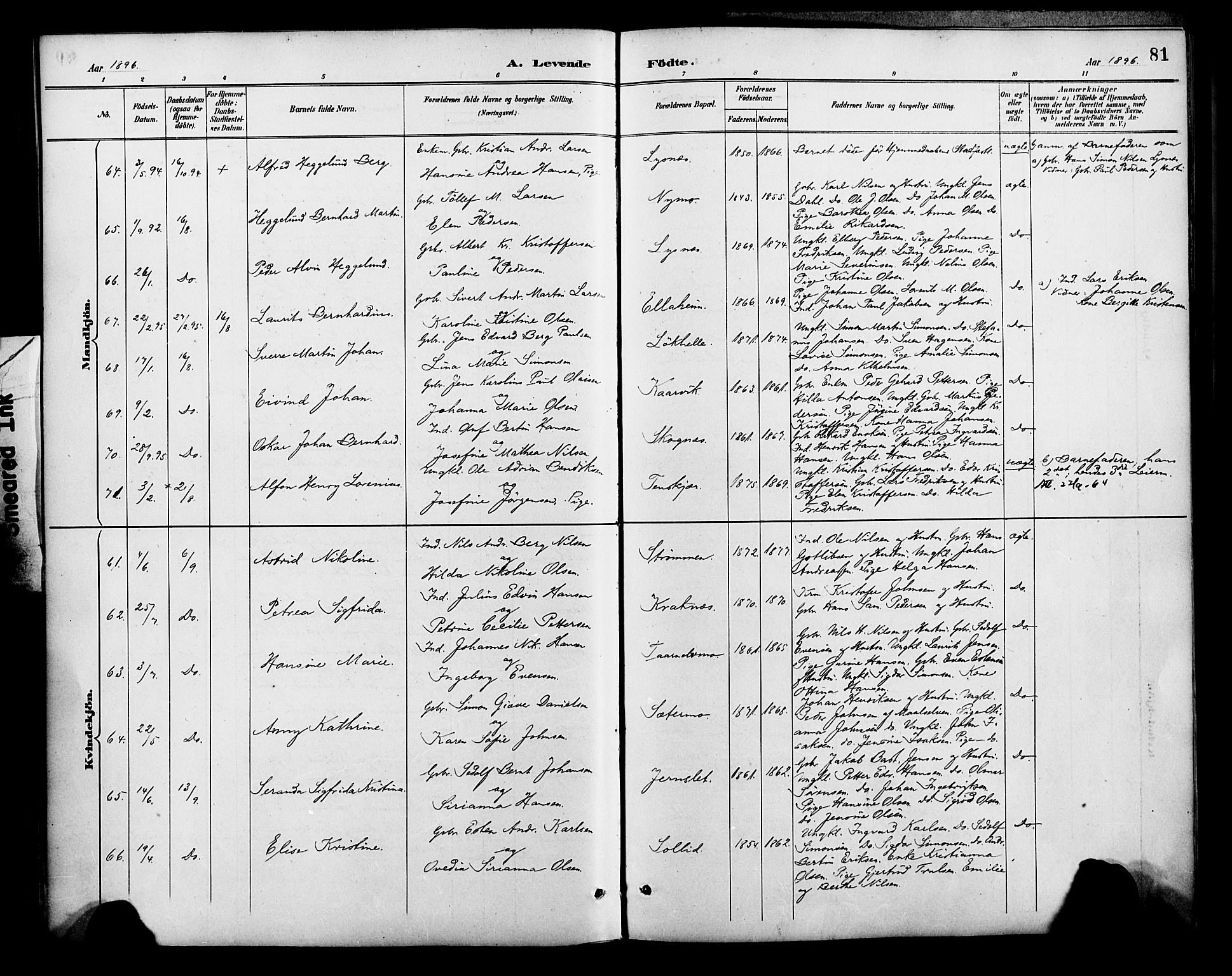 Lenvik sokneprestembete, SATØ/S-1310/H/Ha/Haa/L0013kirke: Parish register (official) no. 13, 1890-1898, p. 81