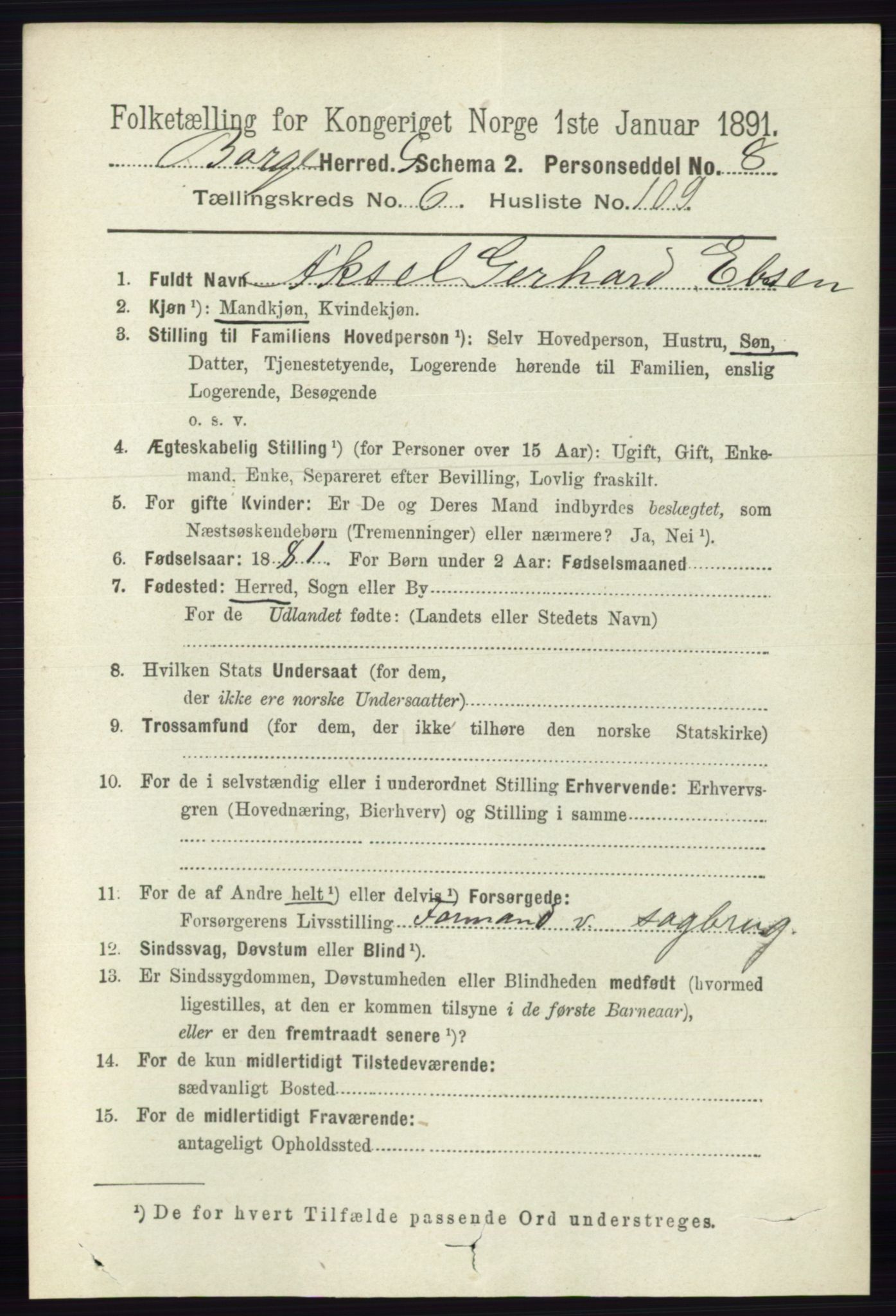 RA, 1891 census for 0113 Borge, 1891, p. 3880