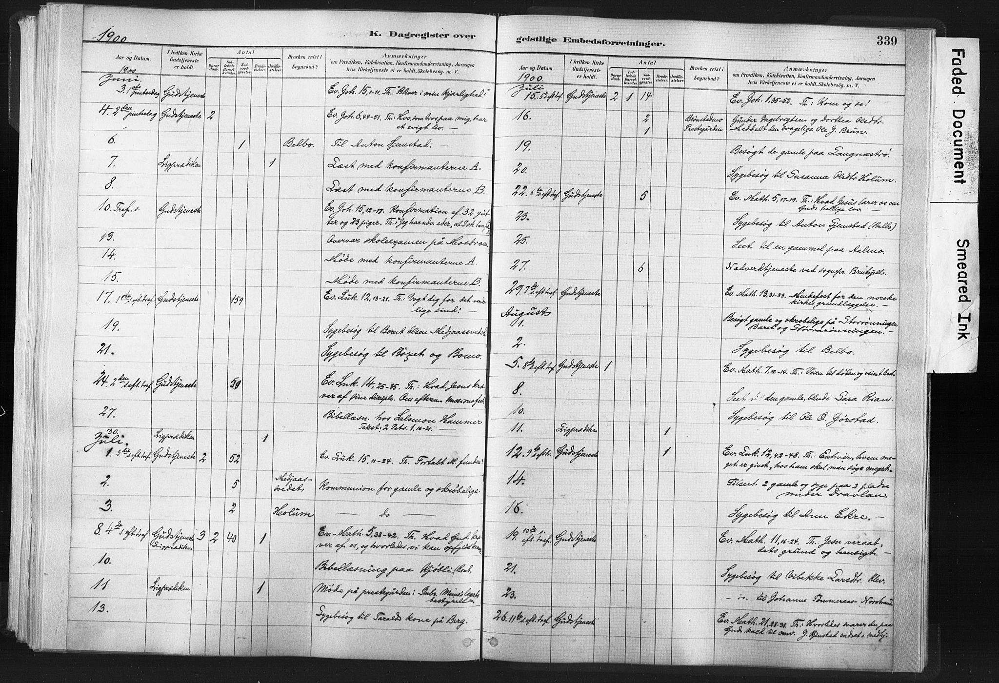 Ministerialprotokoller, klokkerbøker og fødselsregistre - Nord-Trøndelag, AV/SAT-A-1458/749/L0474: Parish register (official) no. 749A08, 1887-1903, p. 339