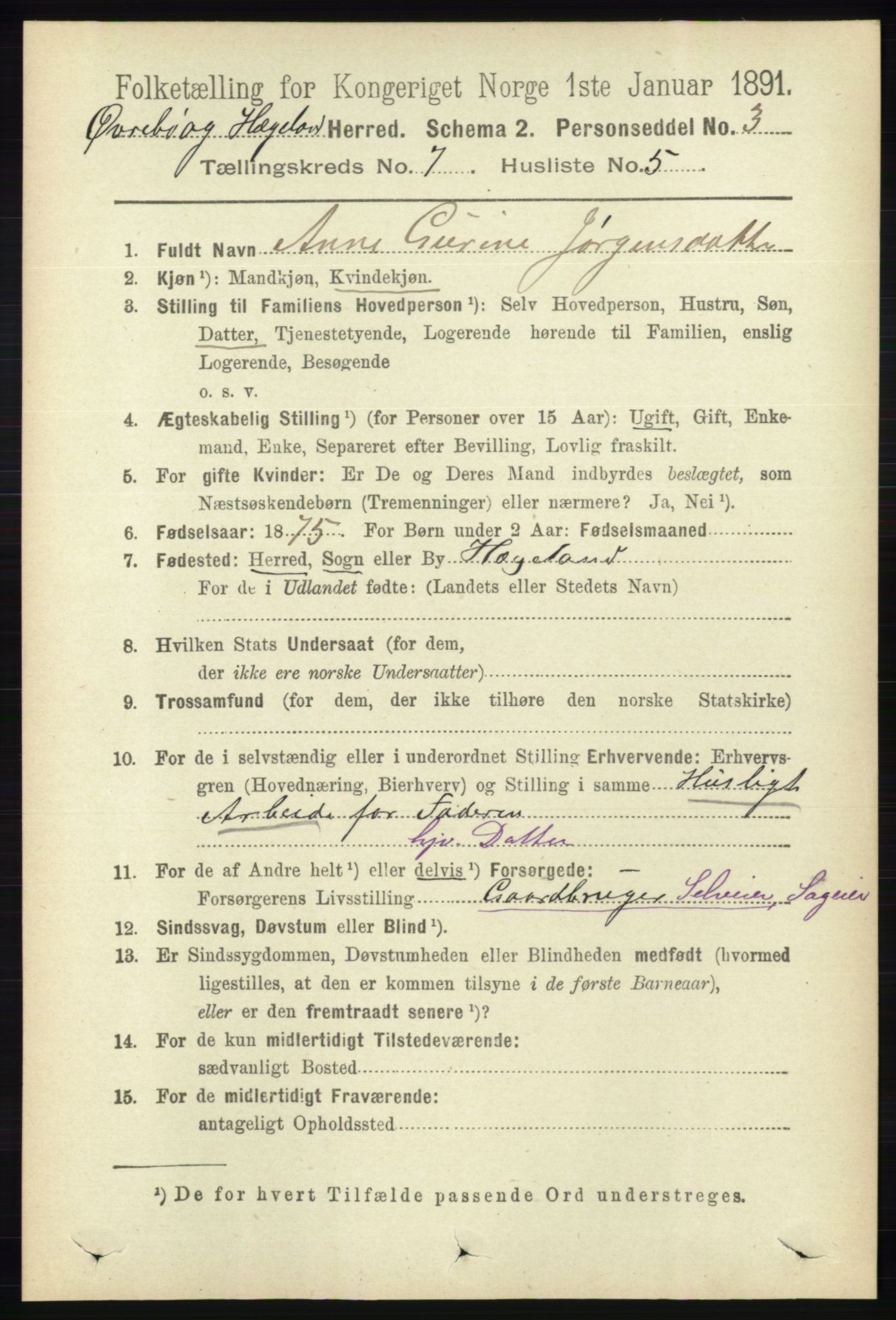 RA, 1891 census for 1016 Øvrebø og Hægeland, 1891, p. 1362