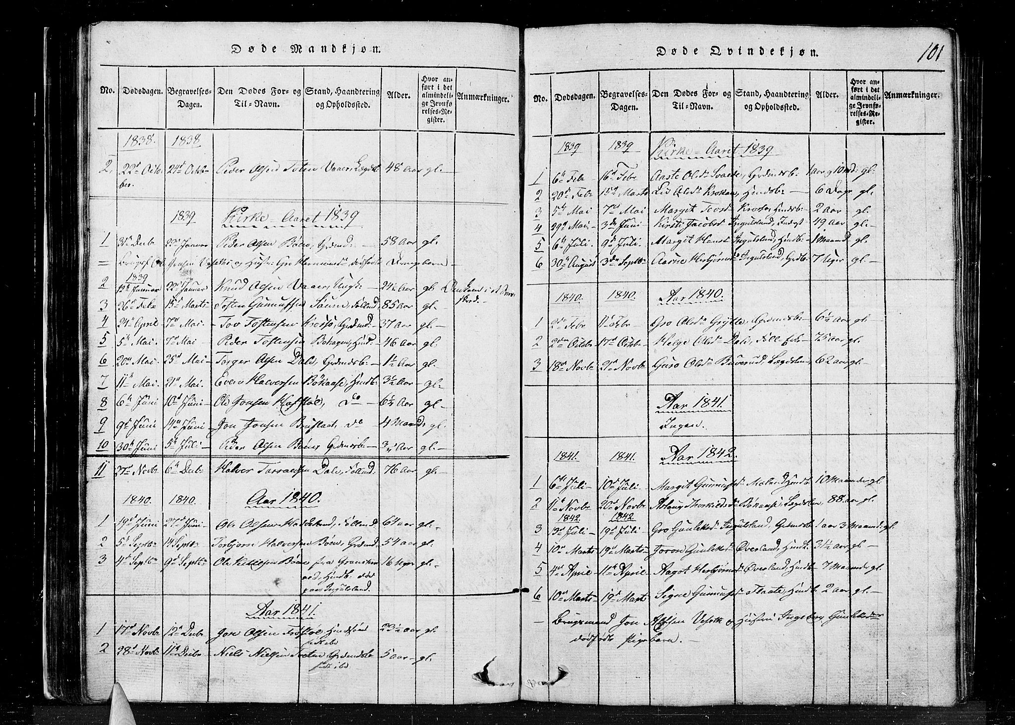 Tinn kirkebøker, SAKO/A-308/G/Gc/L0001: Parish register (copy) no. III 1, 1815-1879, p. 101