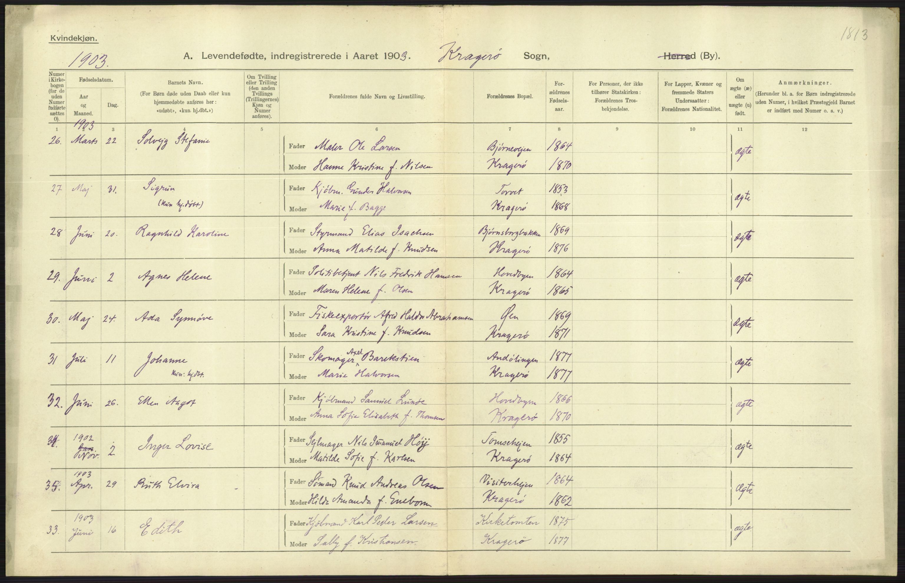 Statistisk sentralbyrå, Sosiodemografiske emner, Befolkning, AV/RA-S-2228/D/Df/Dfa/Dfaa/L0009: Bratsberg amt: Fødte, gifte, døde, 1903, p. 345