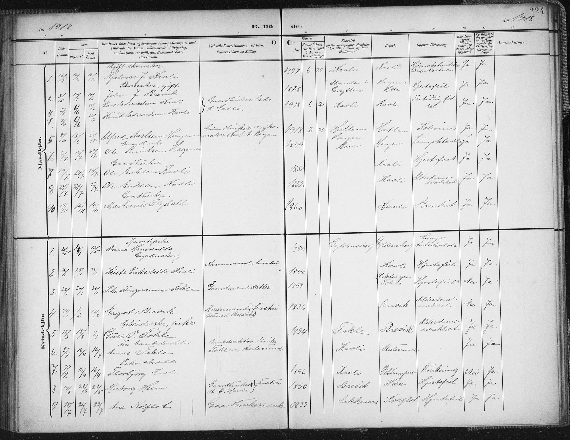 Ministerialprotokoller, klokkerbøker og fødselsregistre - Møre og Romsdal, SAT/A-1454/545/L0589: Parish register (copy) no. 545C03, 1902-1937, p. 224