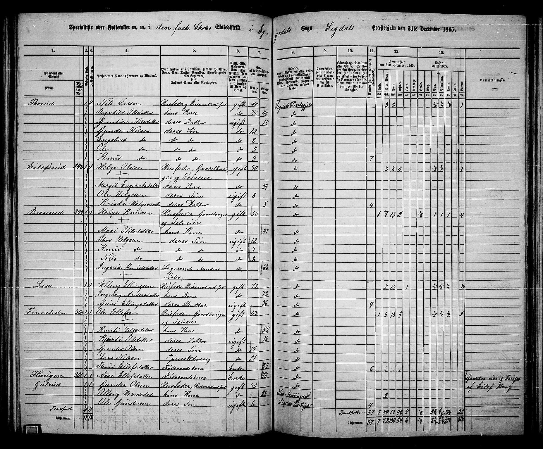 RA, 1865 census for Sigdal, 1865, p. 161