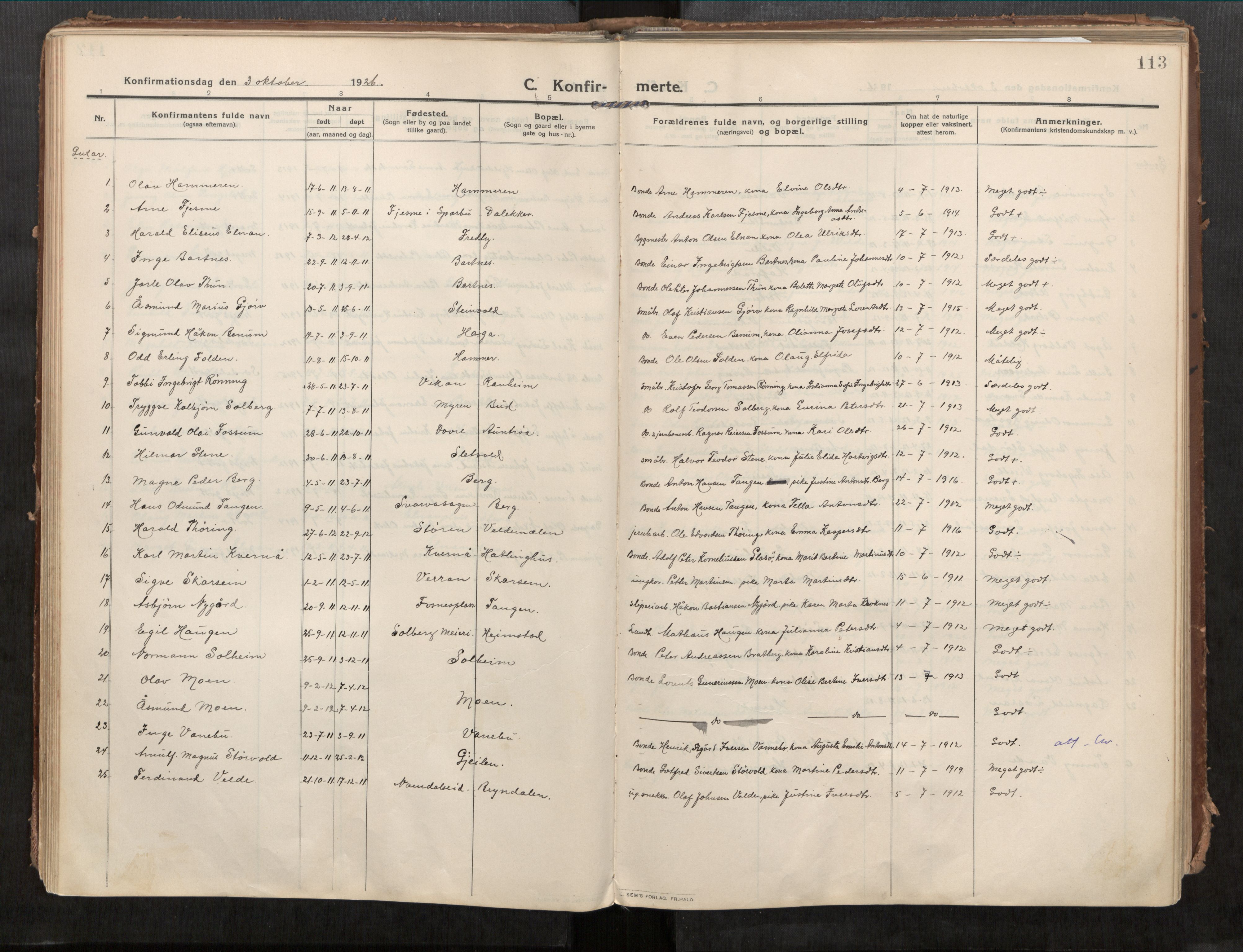 Beitstad sokneprestkontor, SAT/A-1162/I/I1/I1a/L0001: Parish register (official) no. 1, 1912-1927, p. 113