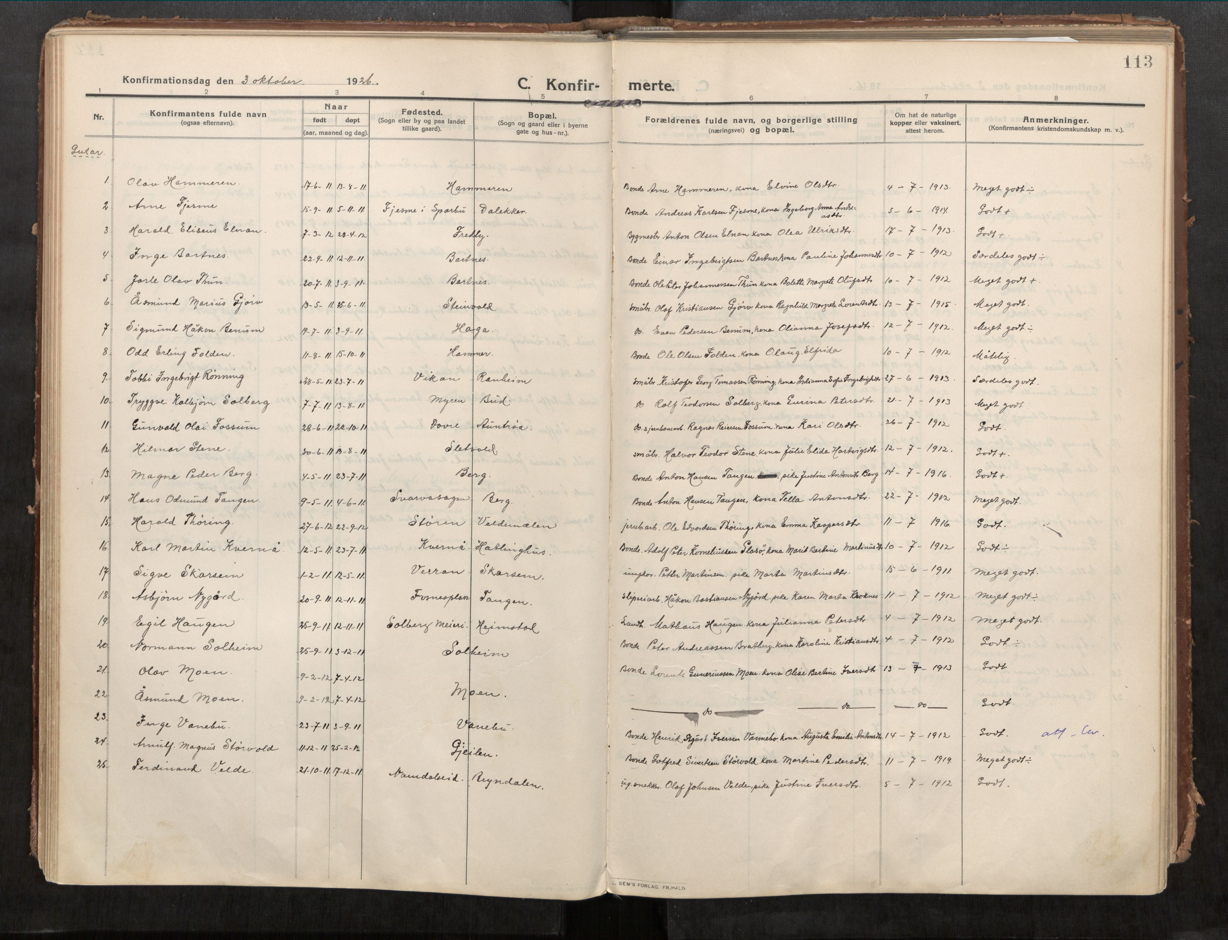 Beitstad sokneprestkontor, AV/SAT-A-1162/I/I1/I1a/L0001: Parish register (official) no. 1, 1912-1927, p. 113