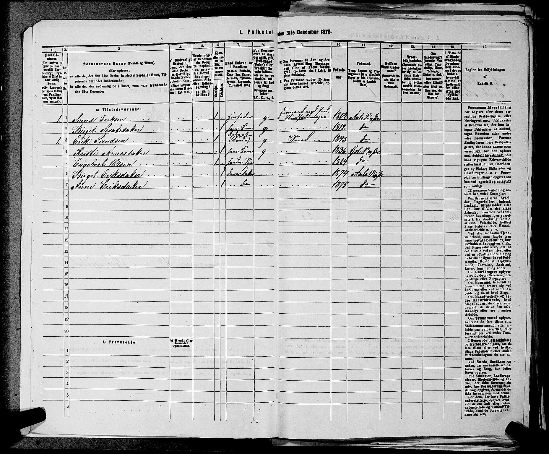 SAKO, 1875 census for 0619P Ål, 1875, p. 319