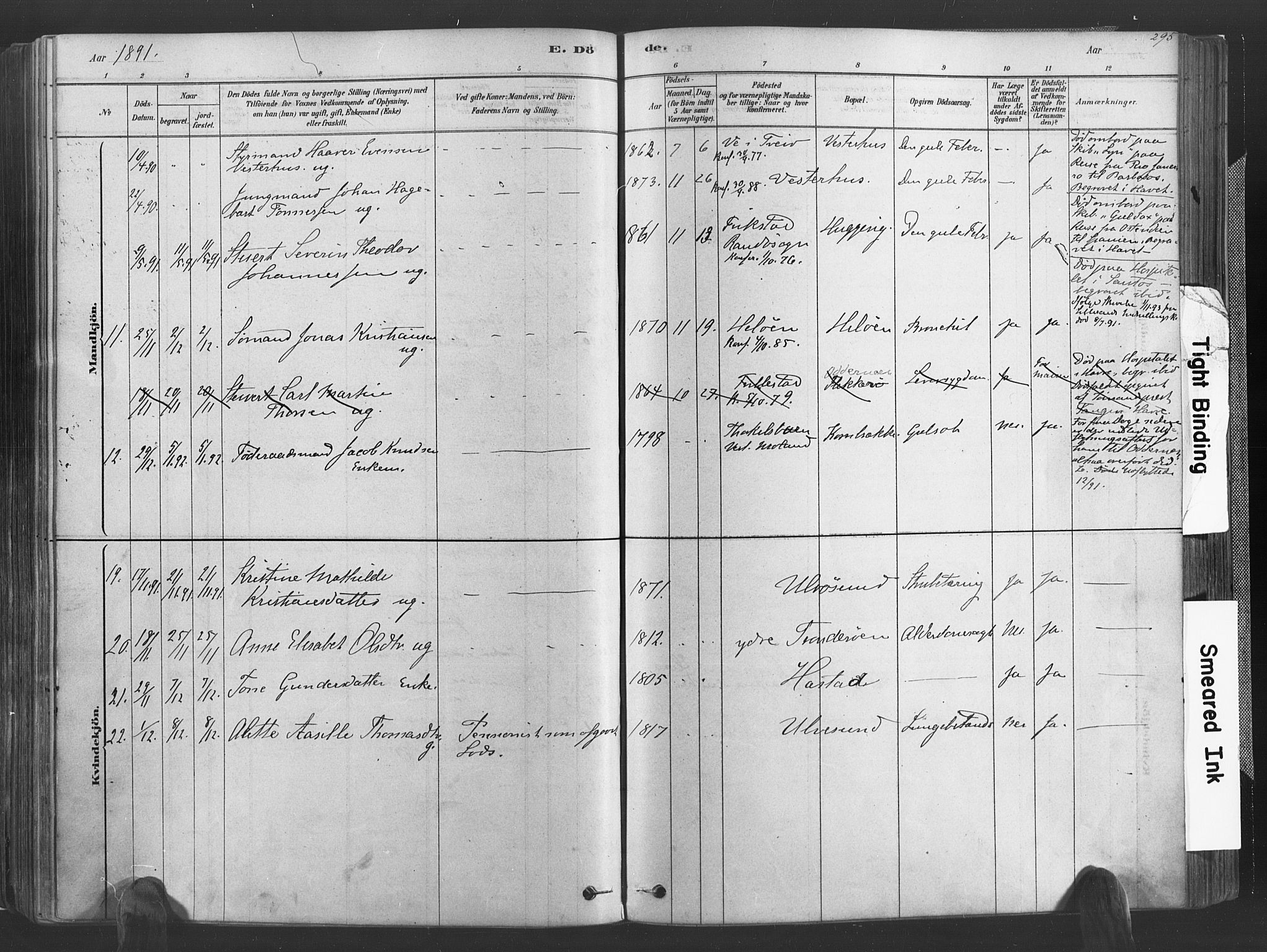 Høvåg sokneprestkontor, SAK/1111-0025/F/Fa/L0005: Parish register (official) no. A 5, 1878-1893, p. 295