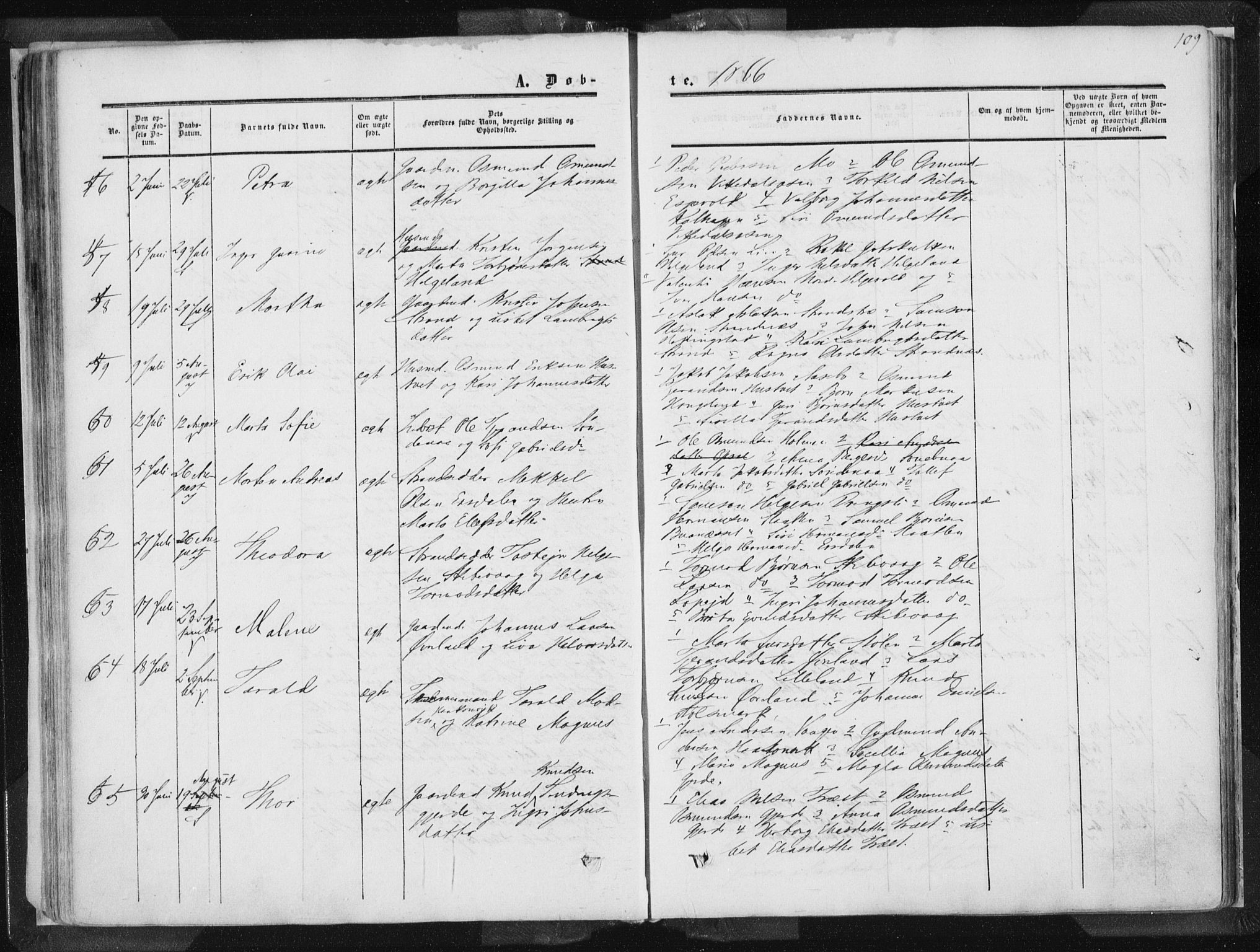 Vikedal sokneprestkontor, AV/SAST-A-101840/01/IV: Parish register (official) no. A 6.1, 1851-1867, p. 109