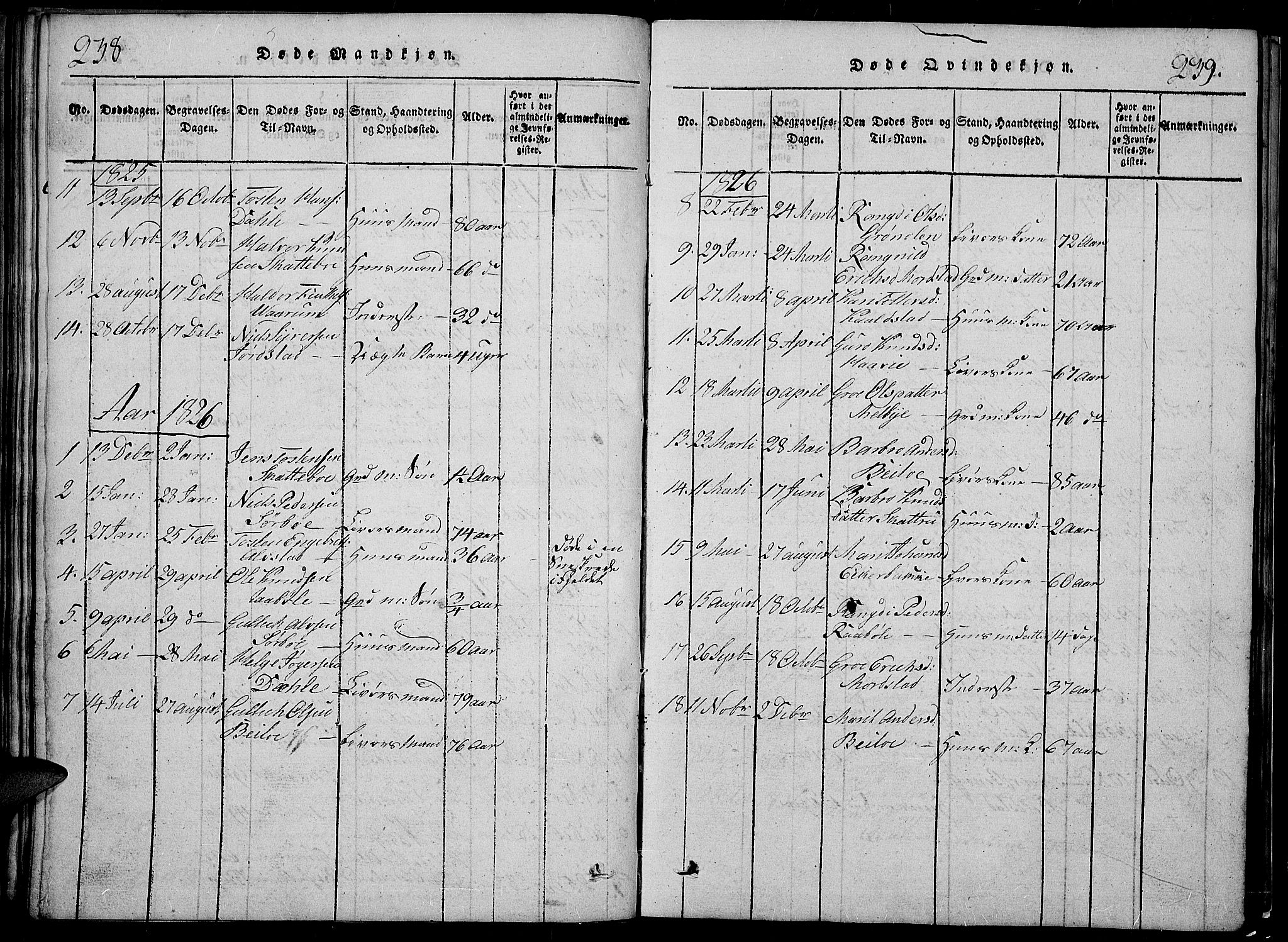 Slidre prestekontor, SAH/PREST-134/H/Ha/Hab/L0002: Parish register (copy) no. 2, 1814-1839, p. 238-239