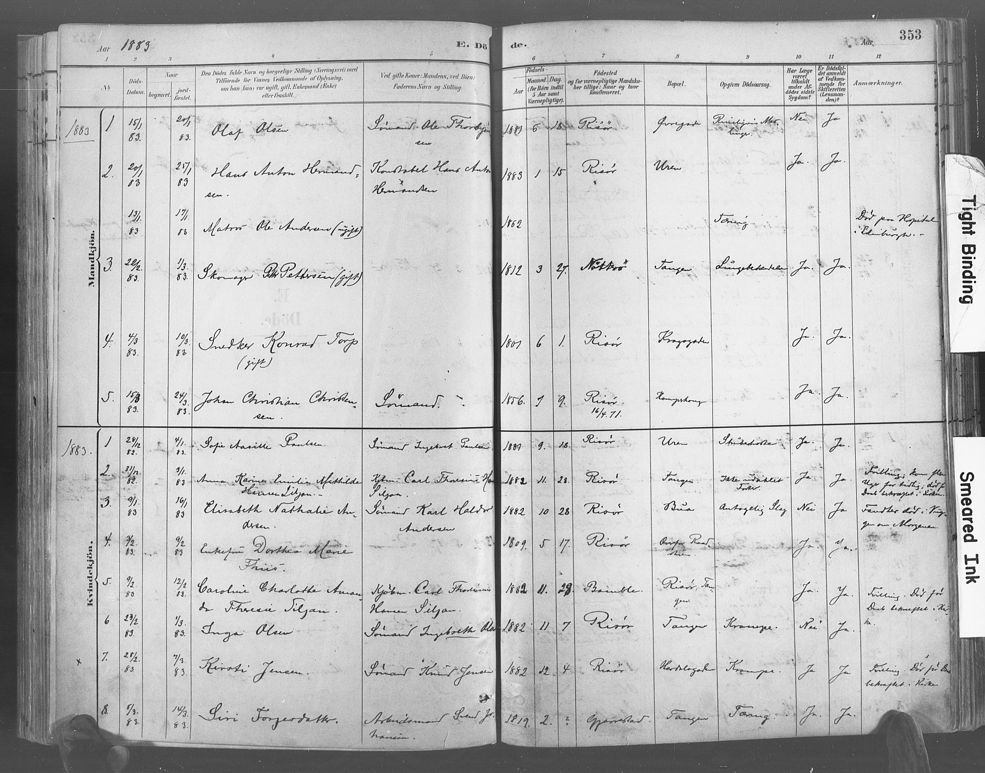 Risør sokneprestkontor, SAK/1111-0035/F/Fa/L0005: Parish register (official) no. A 5, 1883-1895, p. 353