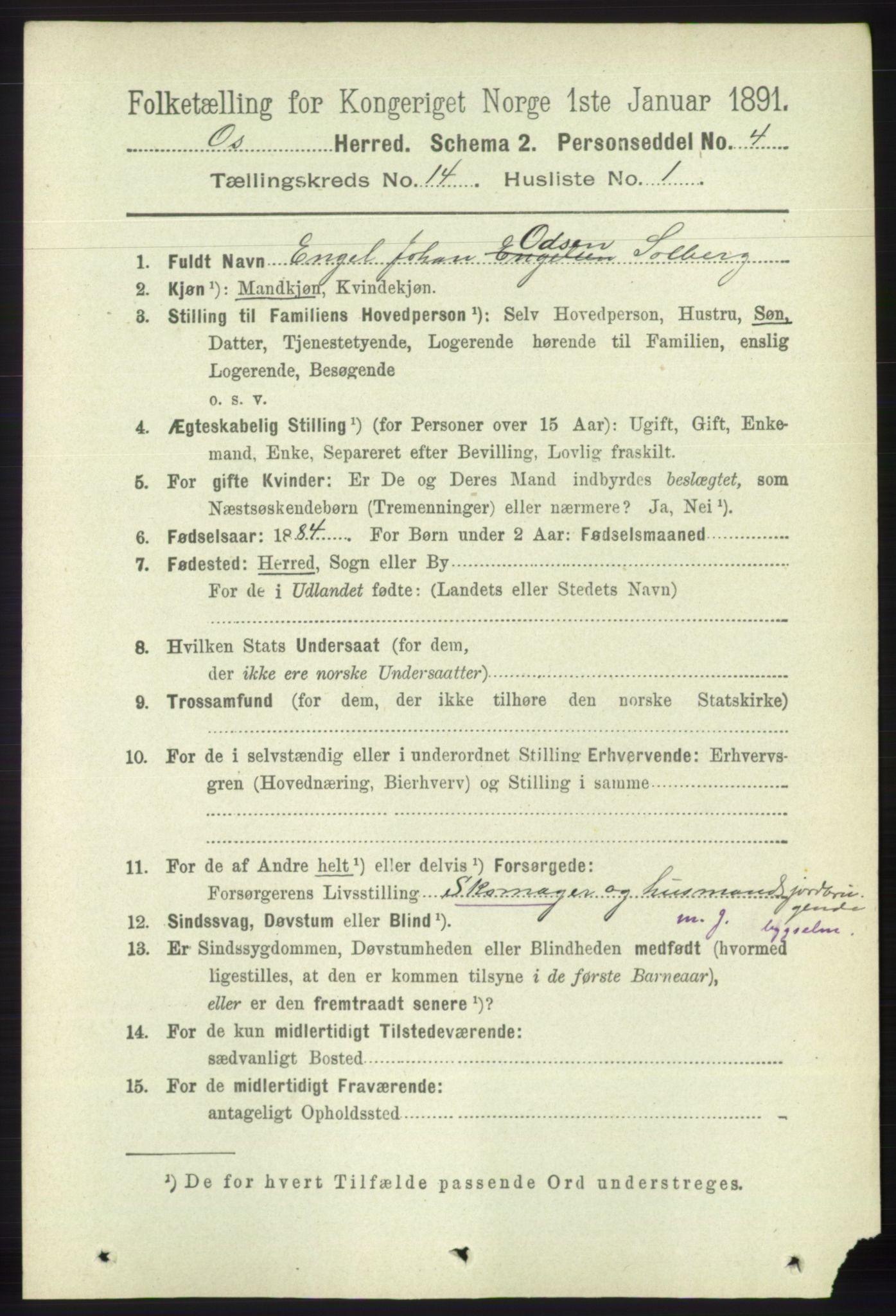 RA, 1891 census for 1243 Os, 1891, p. 3091