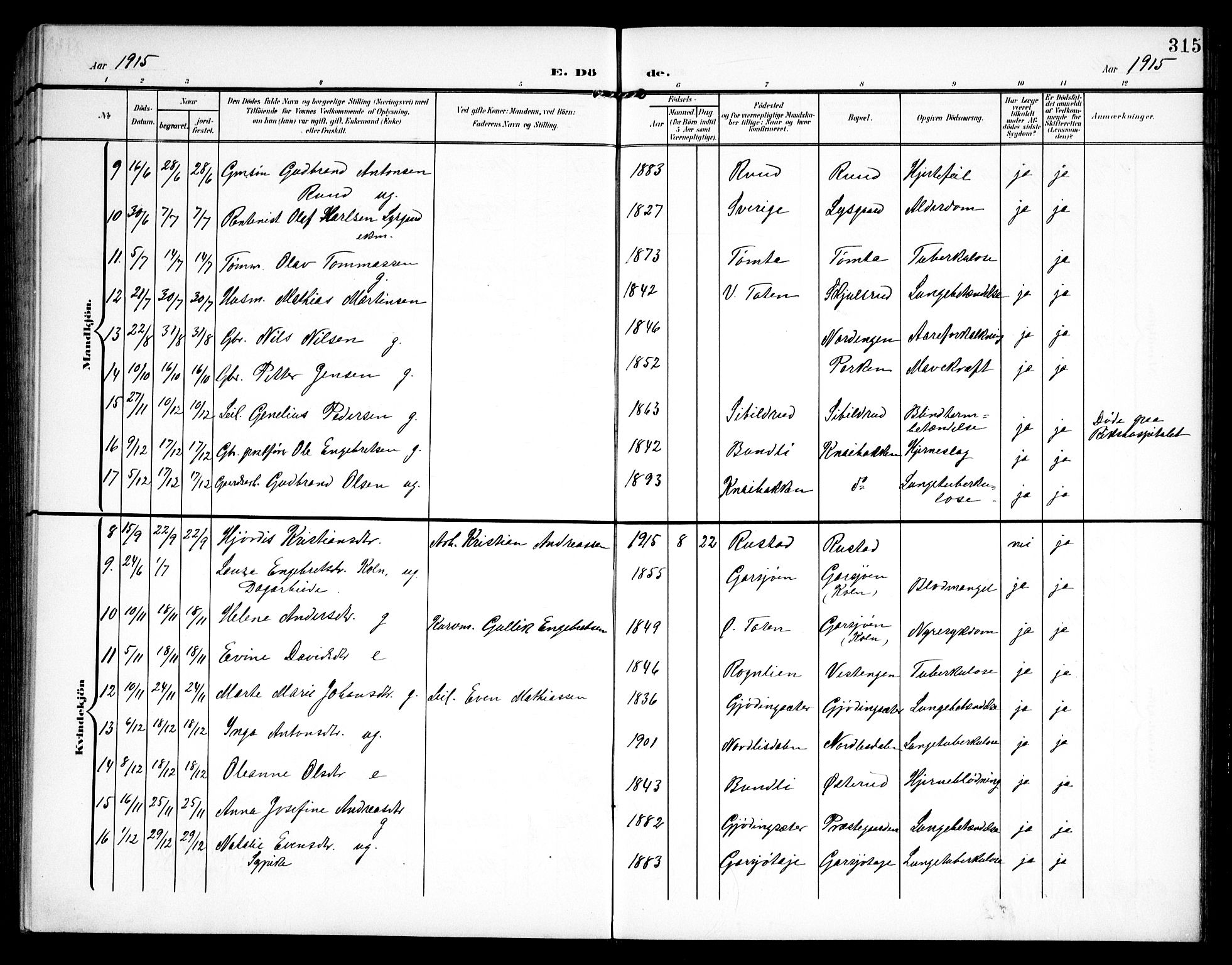 Hurdal prestekontor Kirkebøker, AV/SAO-A-10889/G/Ga/L0001: Parish register (copy) no. I 1, 1902-1934, p. 315