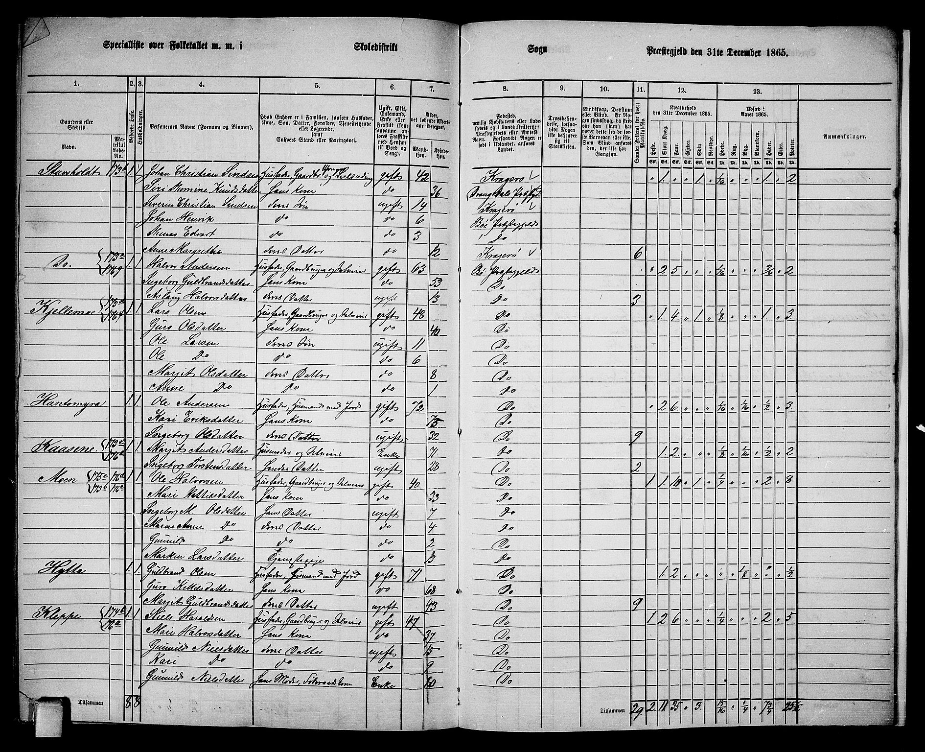 RA, 1865 census for Bø, 1865, p. 215