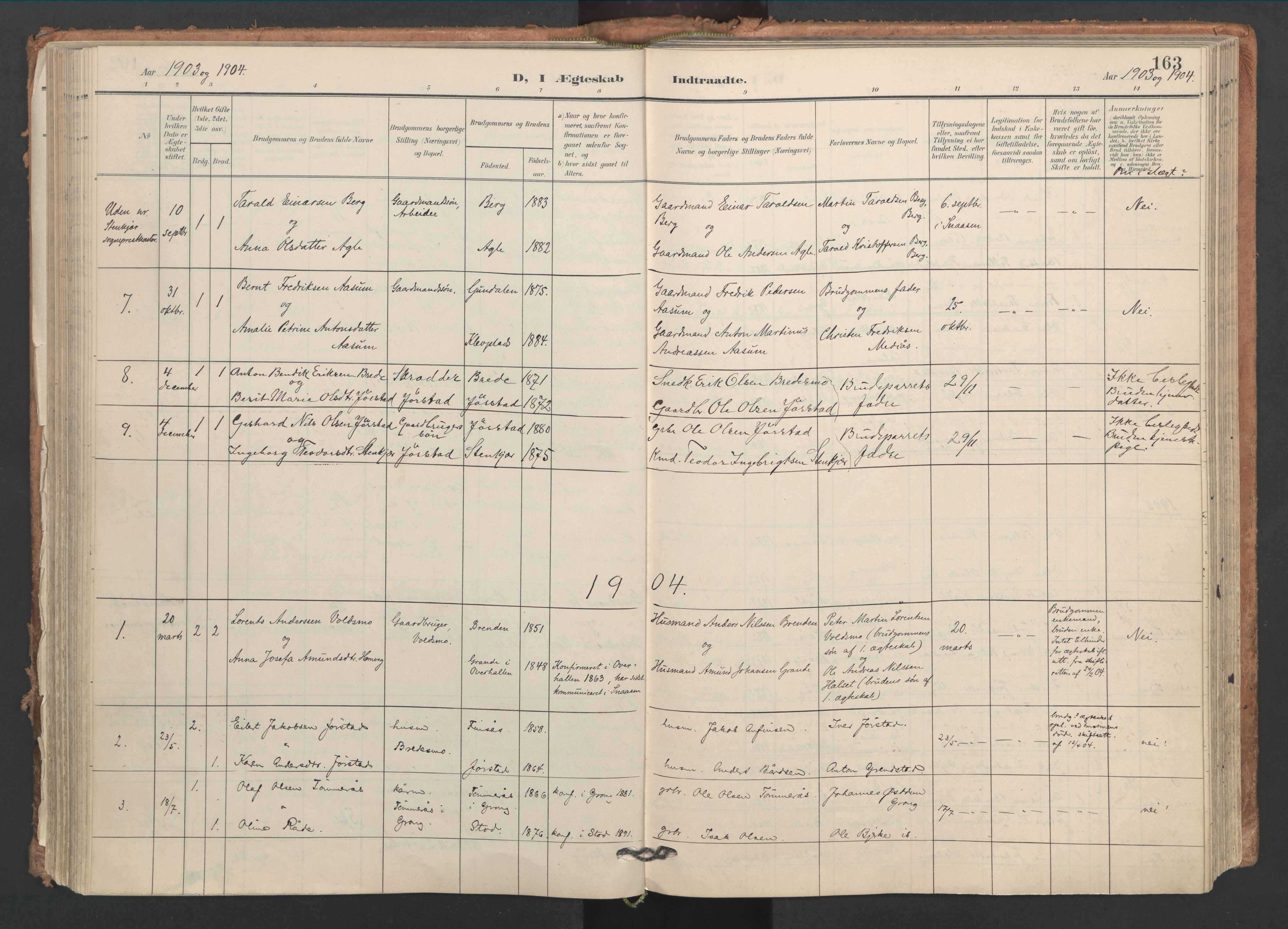 Ministerialprotokoller, klokkerbøker og fødselsregistre - Nord-Trøndelag, SAT/A-1458/749/L0477: Parish register (official) no. 749A11, 1902-1927, p. 163