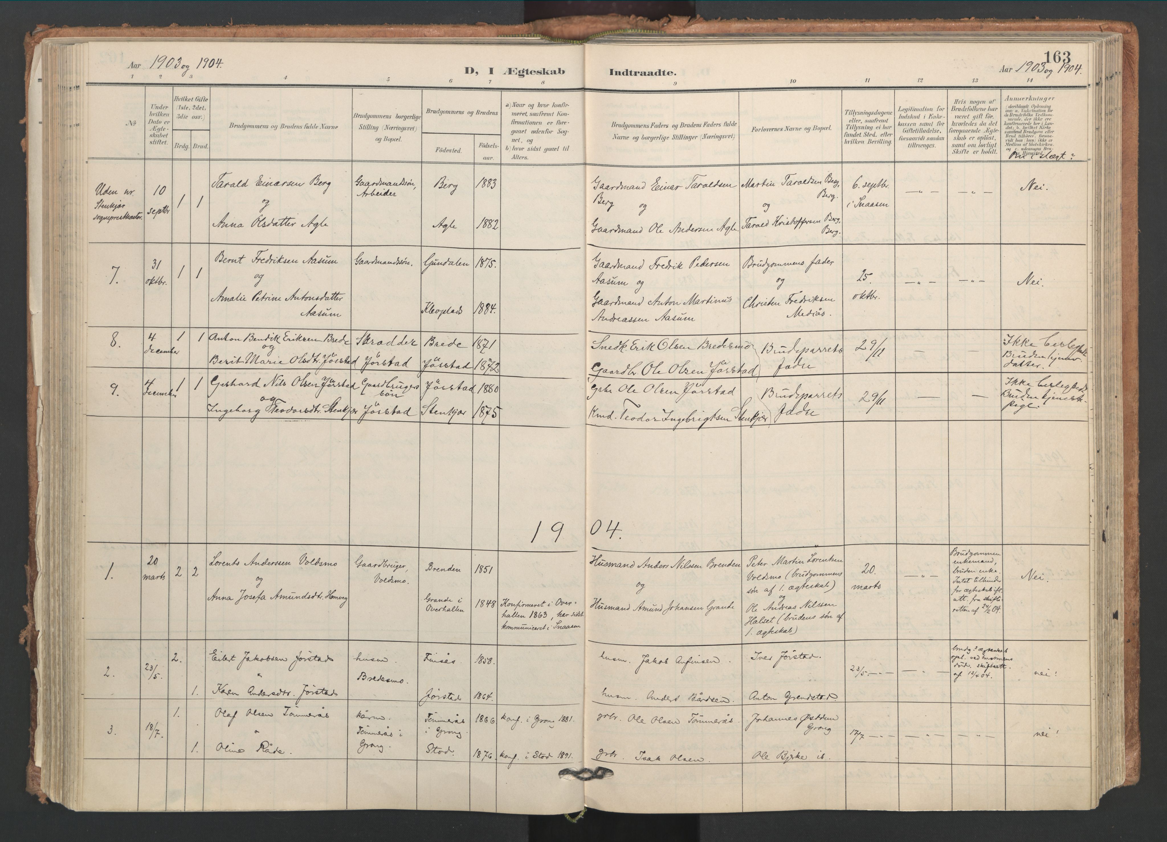 Ministerialprotokoller, klokkerbøker og fødselsregistre - Nord-Trøndelag, AV/SAT-A-1458/749/L0477: Parish register (official) no. 749A11, 1902-1927, p. 163