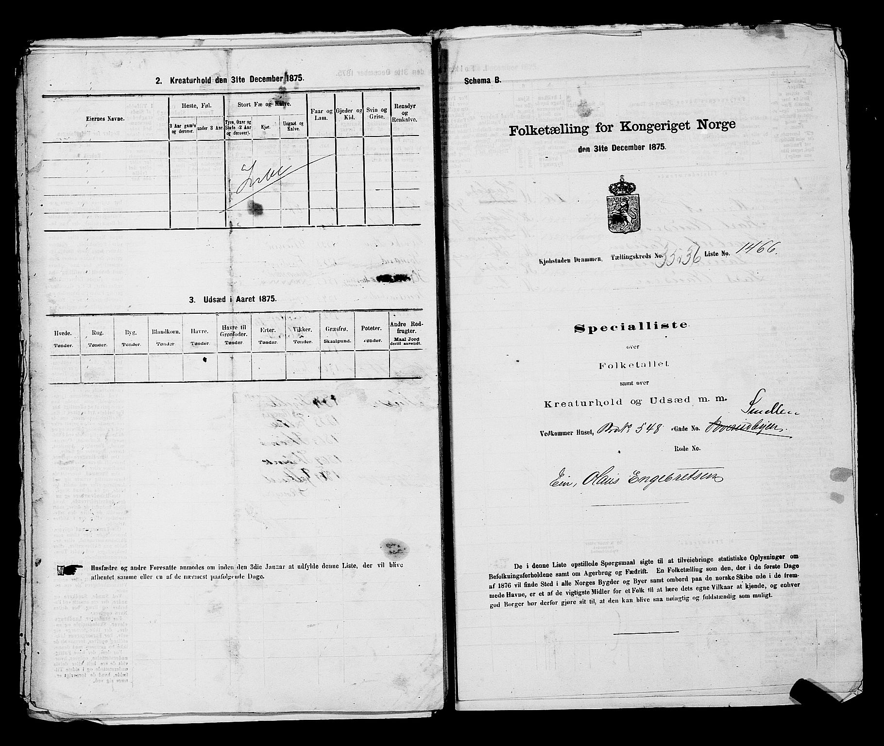 SAKO, 1875 census for 0602 Drammen, 1875, p. 3117