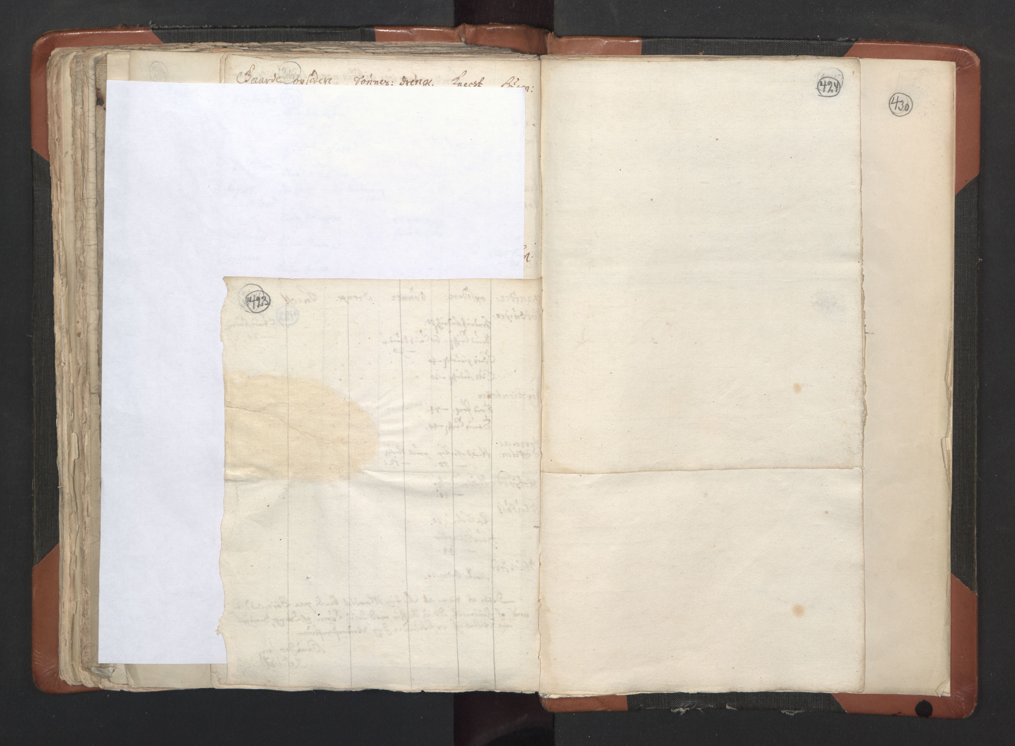 RA, Vicar's Census 1664-1666, no. 35: Helgeland deanery and Salten deanery, 1664-1666, p. 423-424