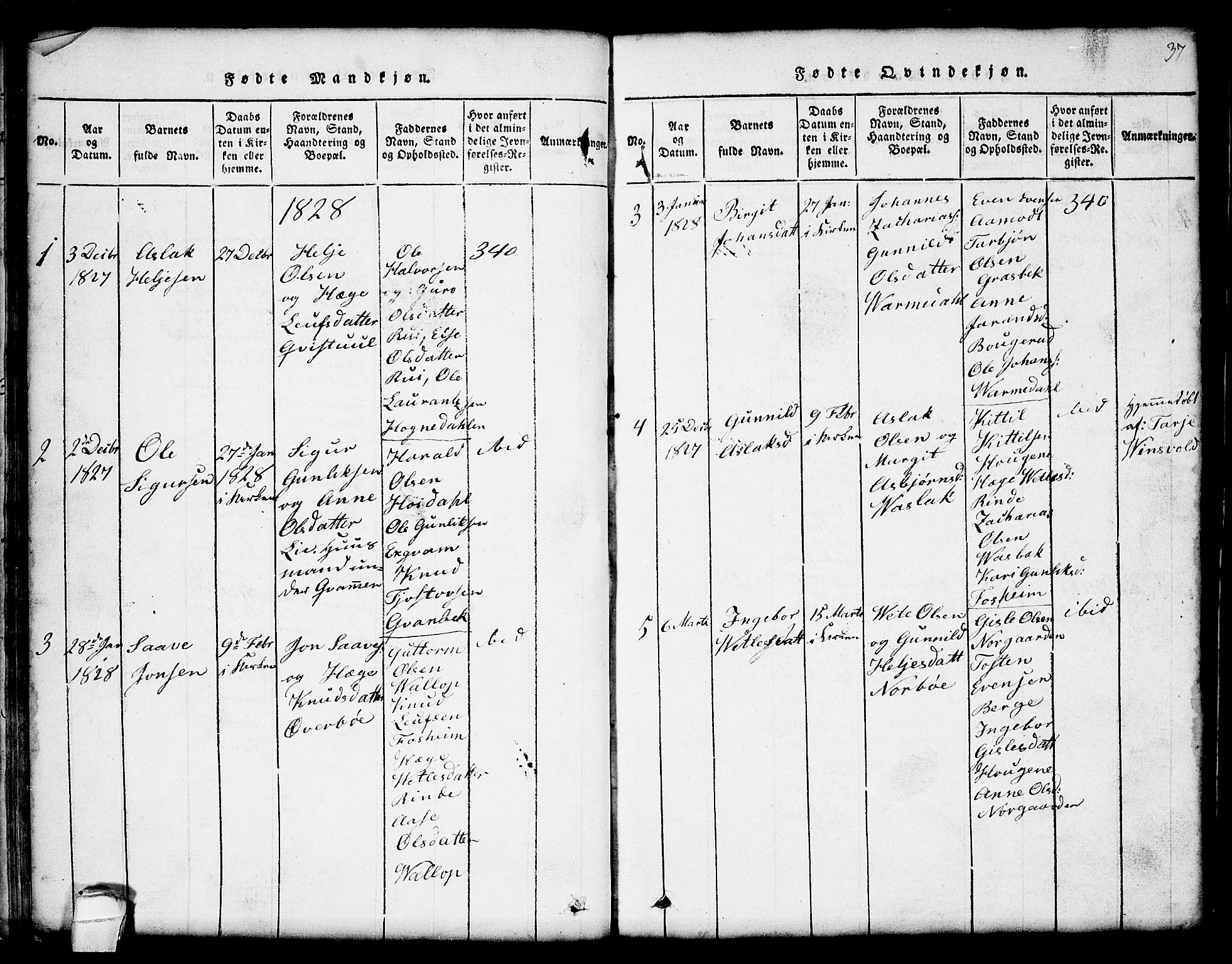 Seljord kirkebøker, AV/SAKO-A-20/G/Gc/L0001: Parish register (copy) no. III 1, 1815-1849, p. 37