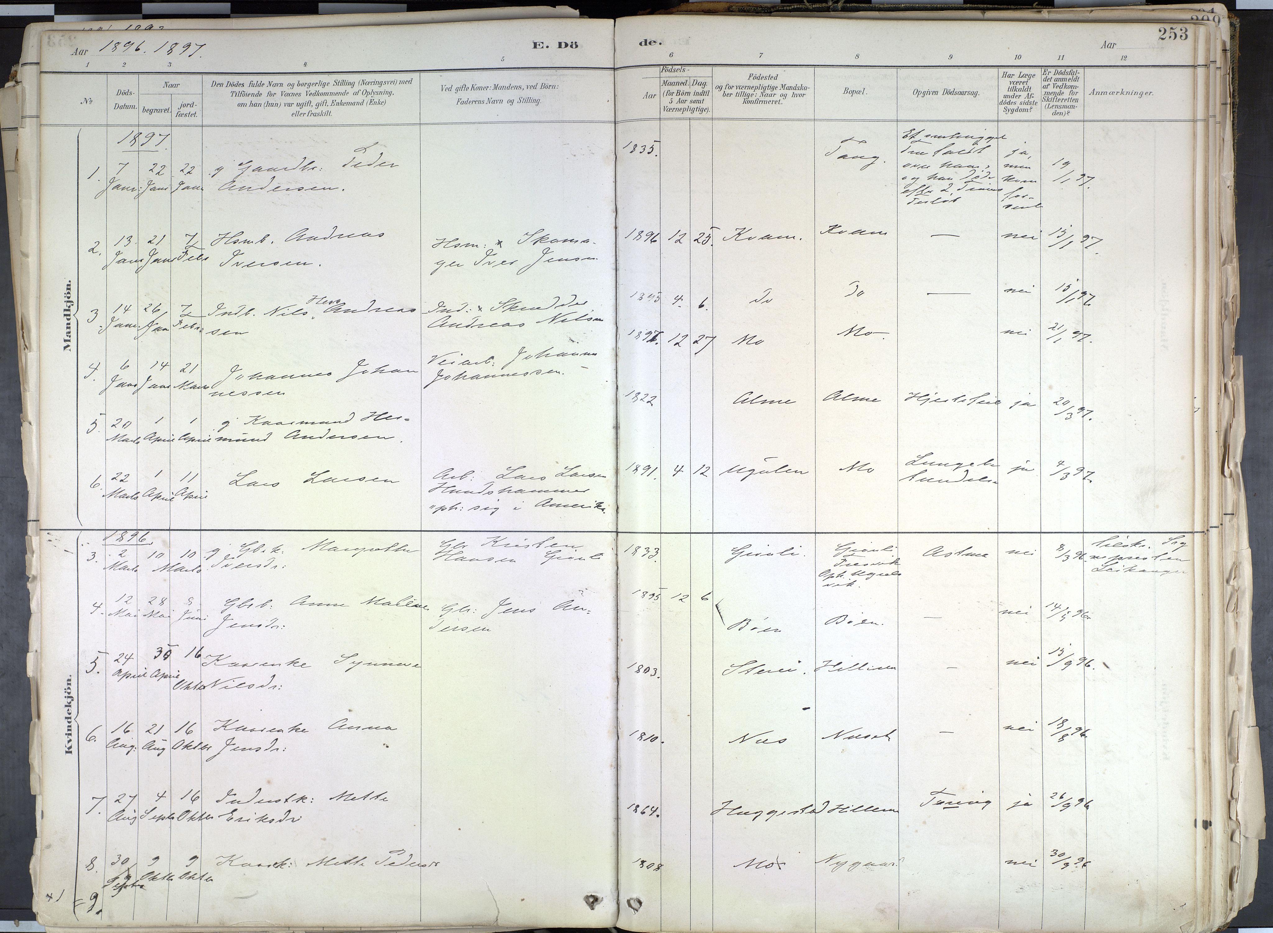 Hafslo sokneprestembete, SAB/A-80301/H/Haa/Haab/L0001: Parish register (official) no. B 1, 1886-1945, p. 253