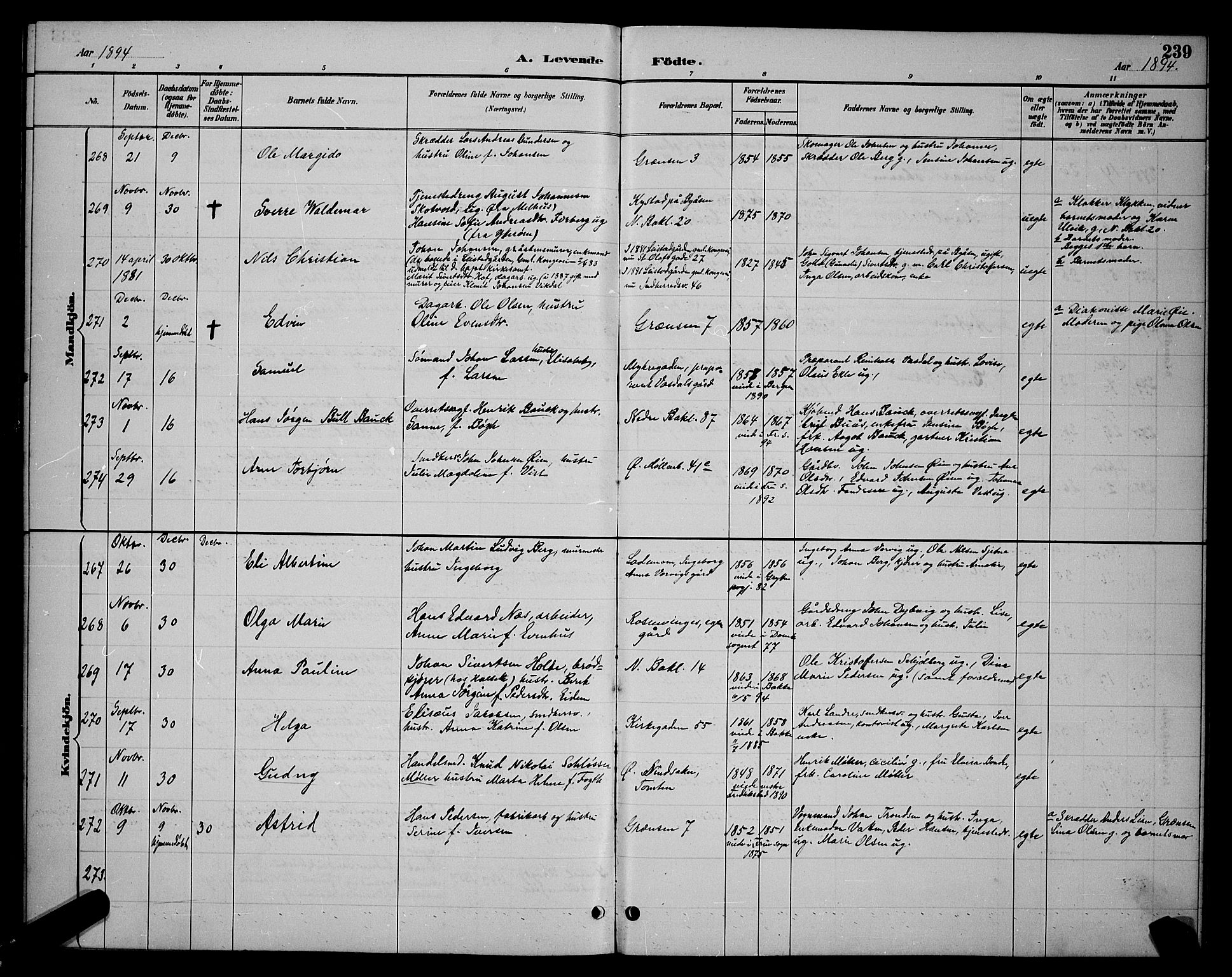 Ministerialprotokoller, klokkerbøker og fødselsregistre - Sør-Trøndelag, AV/SAT-A-1456/604/L0222: Parish register (copy) no. 604C05, 1886-1895, p. 239