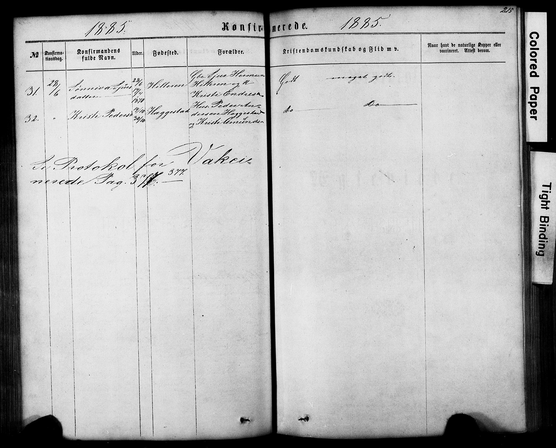 Hafslo sokneprestembete, AV/SAB-A-80301/H/Hab/Haba/L0001: Parish register (copy) no. A 1, 1866-1908, p. 215