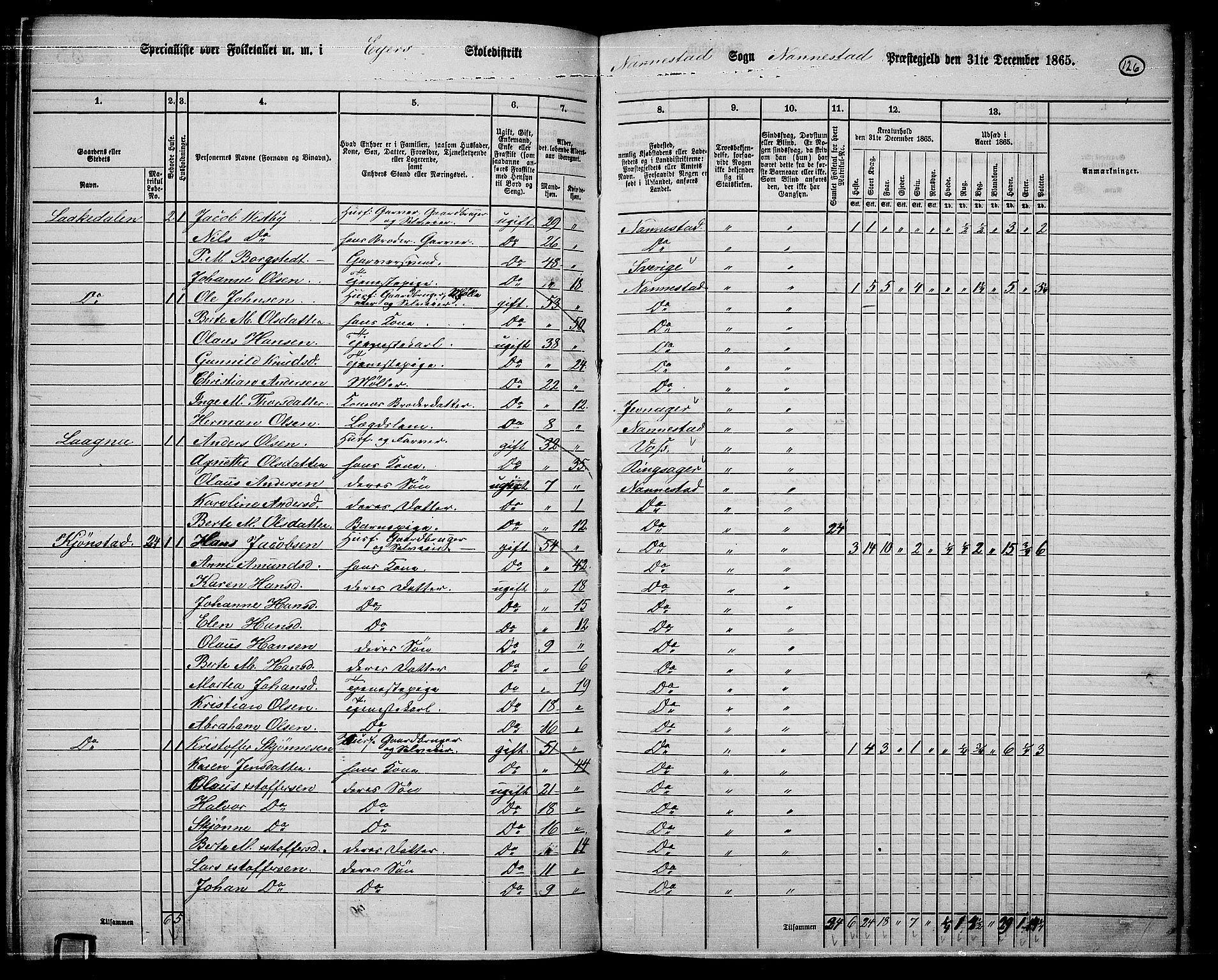 RA, 1865 census for Nannestad, 1865, p. 12