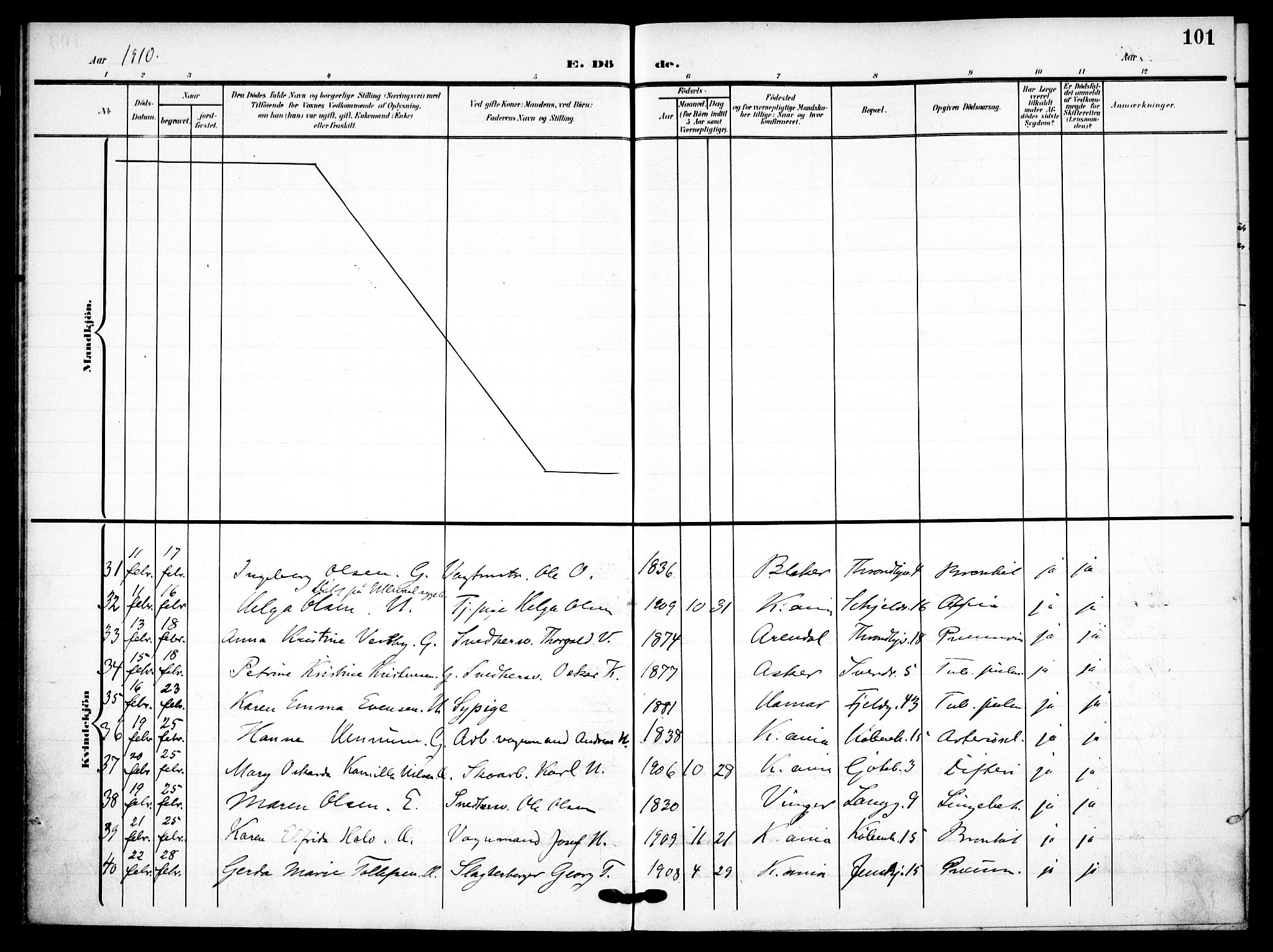 Petrus prestekontor Kirkebøker, AV/SAO-A-10872/F/Fa/L0010: Parish register (official) no. 10, 1904-1916, p. 101