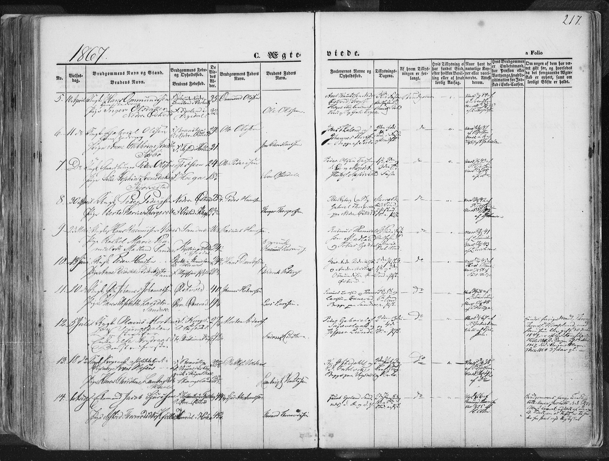 Høyland sokneprestkontor, SAST/A-101799/001/30BA/L0010: Parish register (official) no. A 9.1, 1857-1877, p. 217