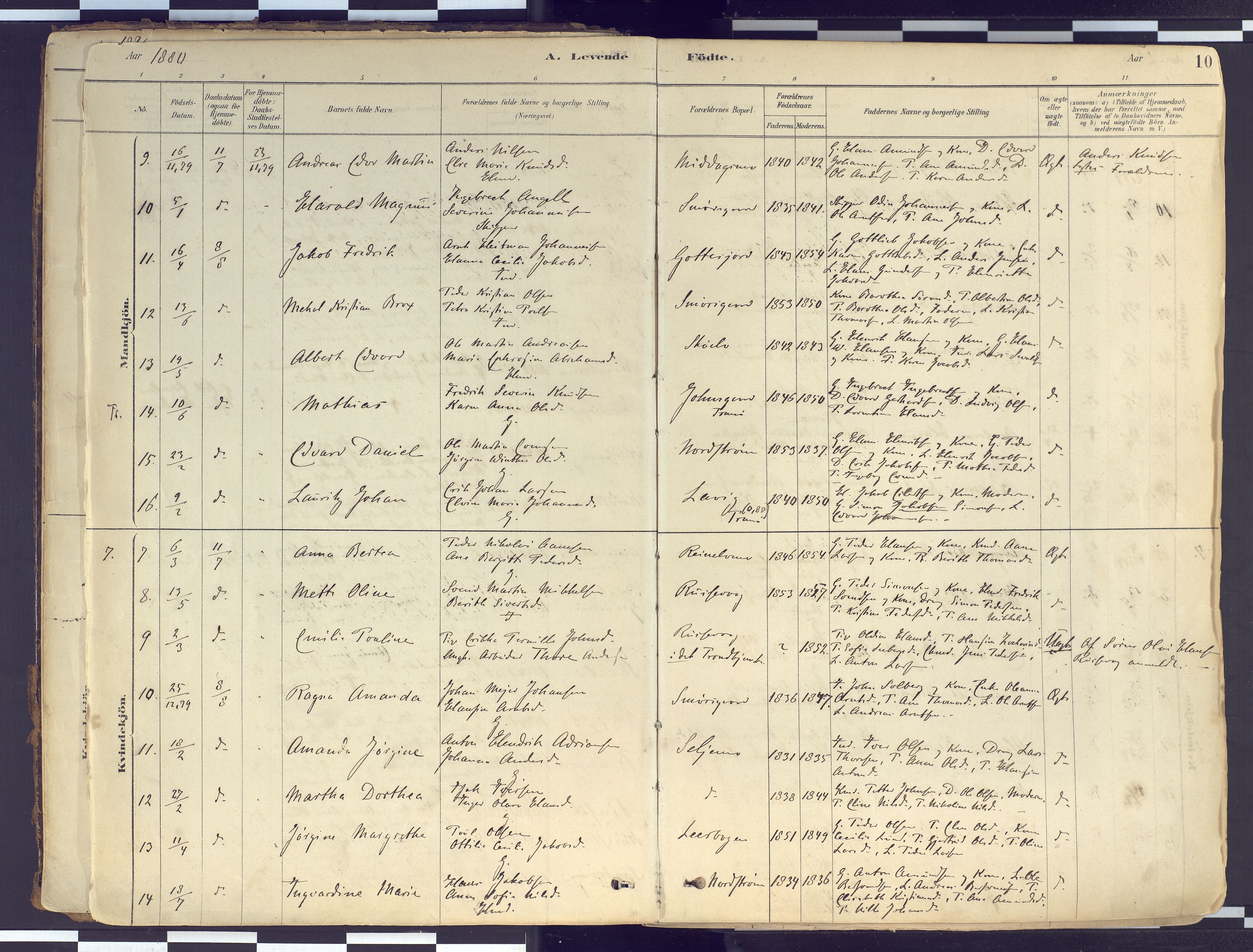 Tranøy sokneprestkontor, AV/SATØ-S-1313/I/Ia/Iaa/L0010kirke: Parish register (official) no. 10, 1878-1904, p. 10