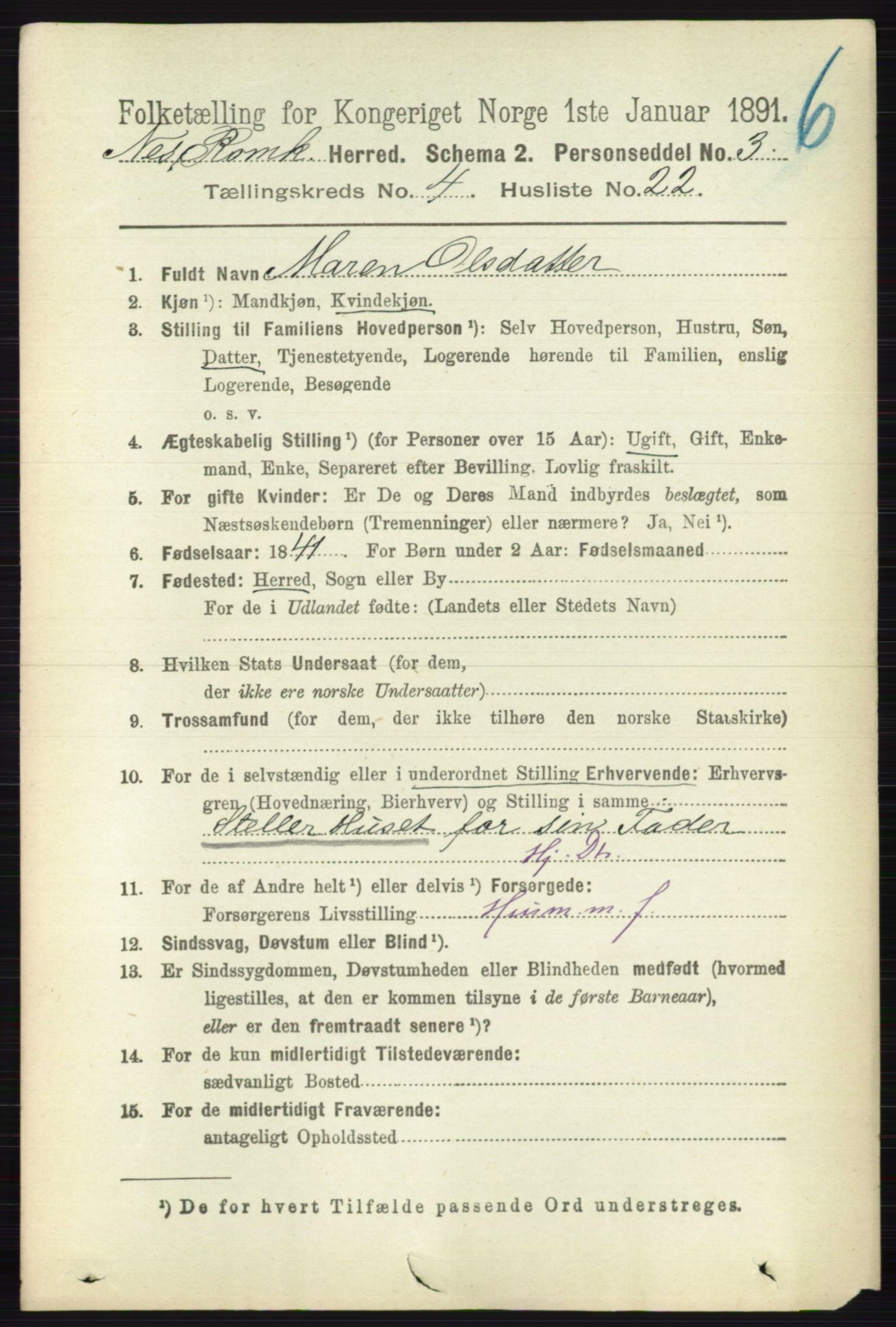 RA, 1891 census for 0236 Nes, 1891, p. 2382