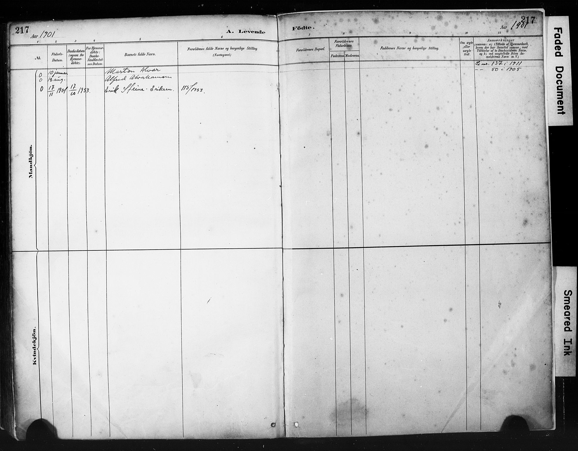 St. Petri sokneprestkontor, AV/SAST-A-101813/001/30/30BA/L0019: Parish register (official) no. A 20, 1888-1901, p. 217